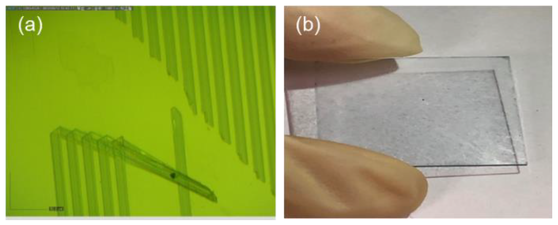 Coatings 11 00031 g002