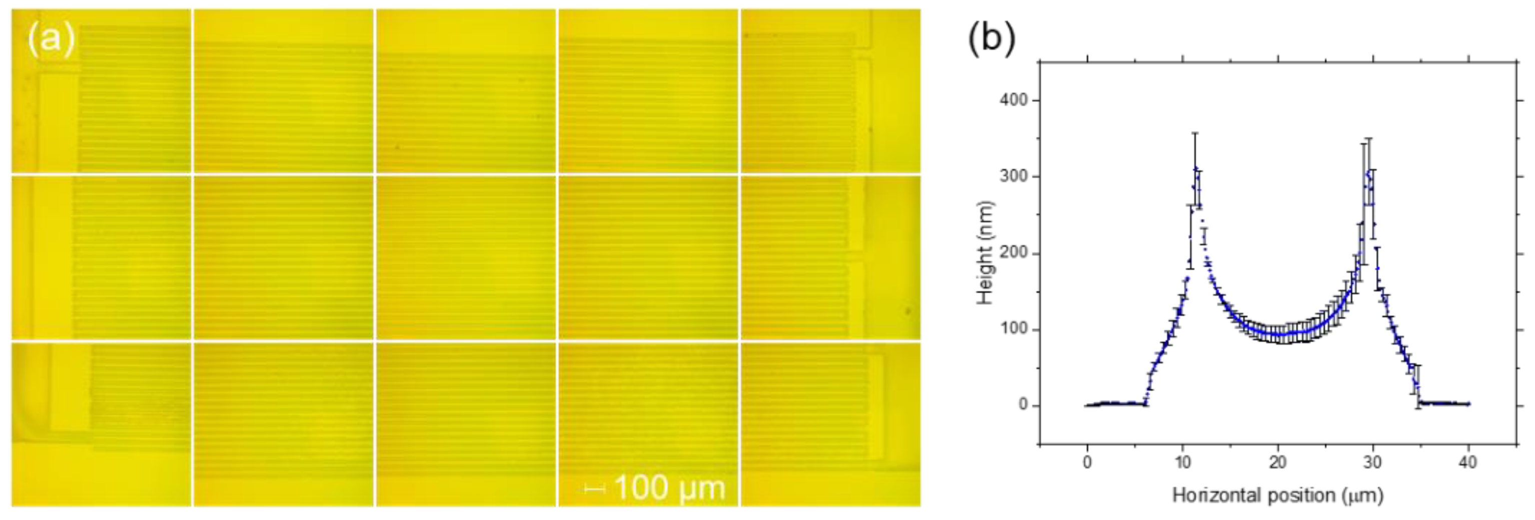 Coatings 11 00031 g012