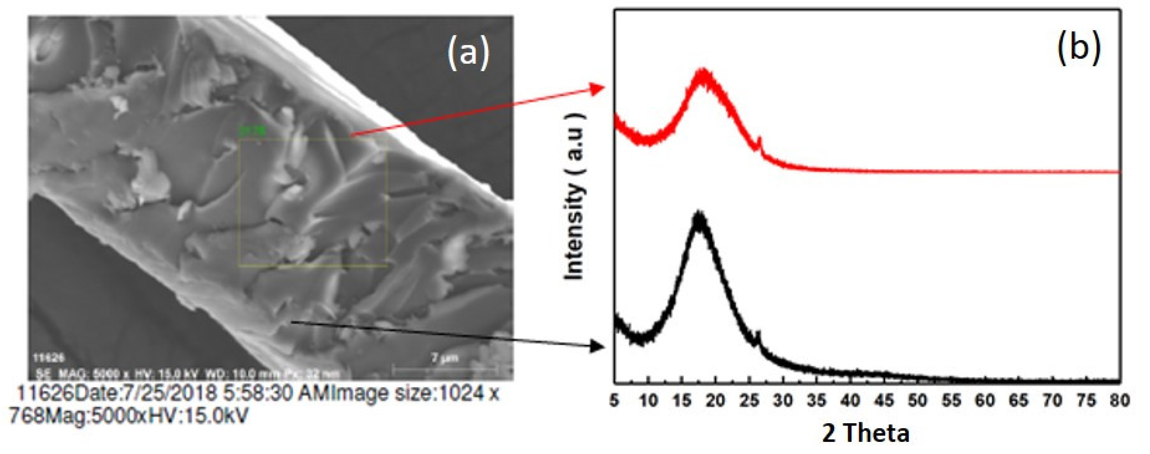 Coatings 11 00035 g006