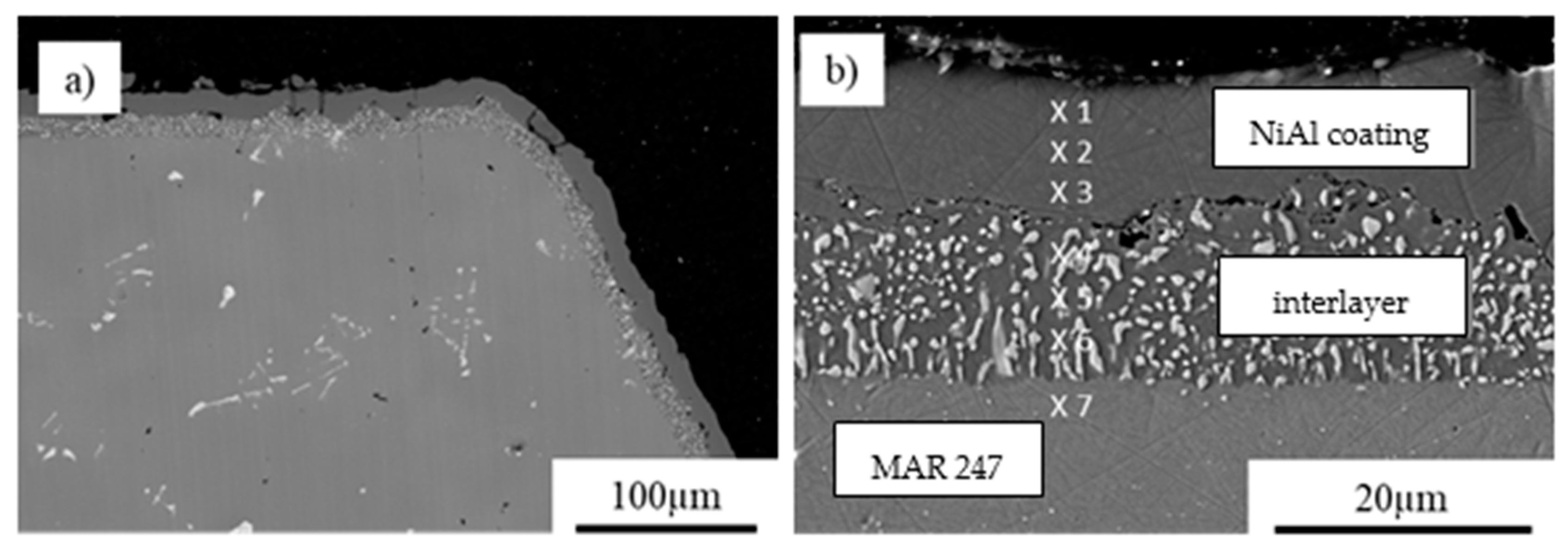 Coatings 11 00048 g002