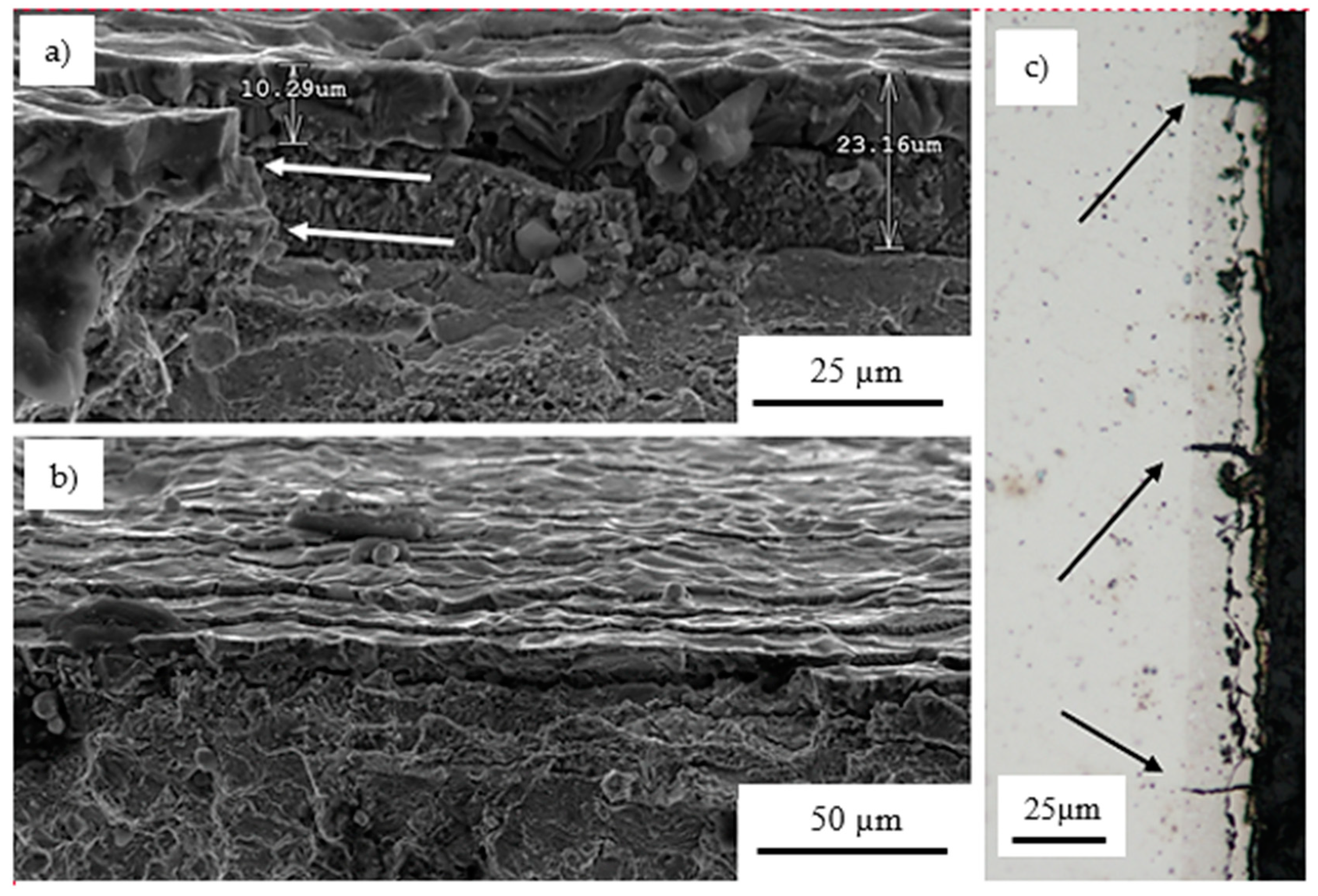 Coatings 11 00048 g006