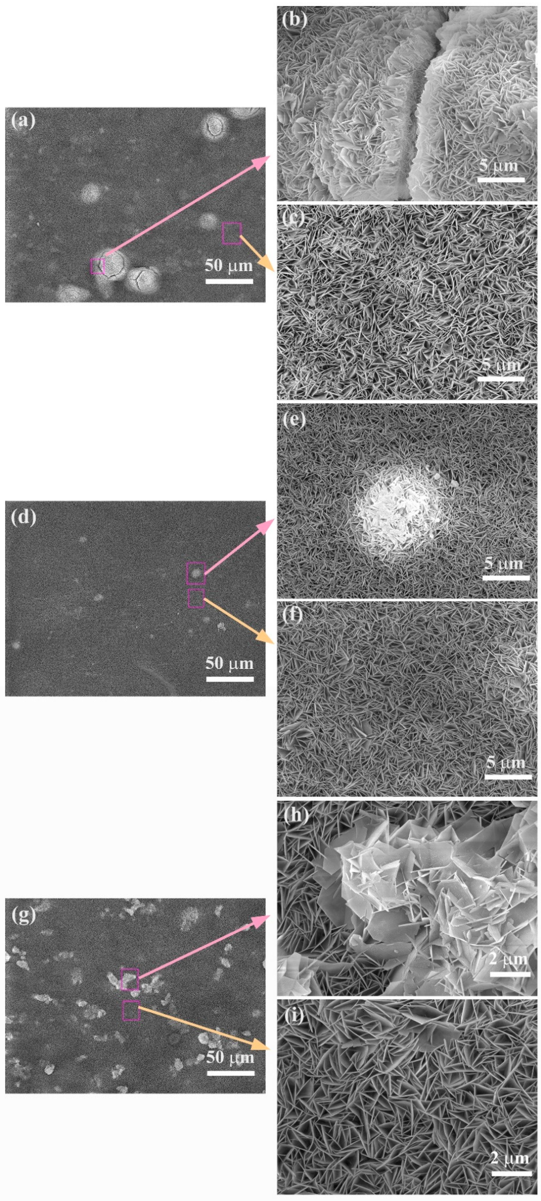 Coatings 11 00059 g003