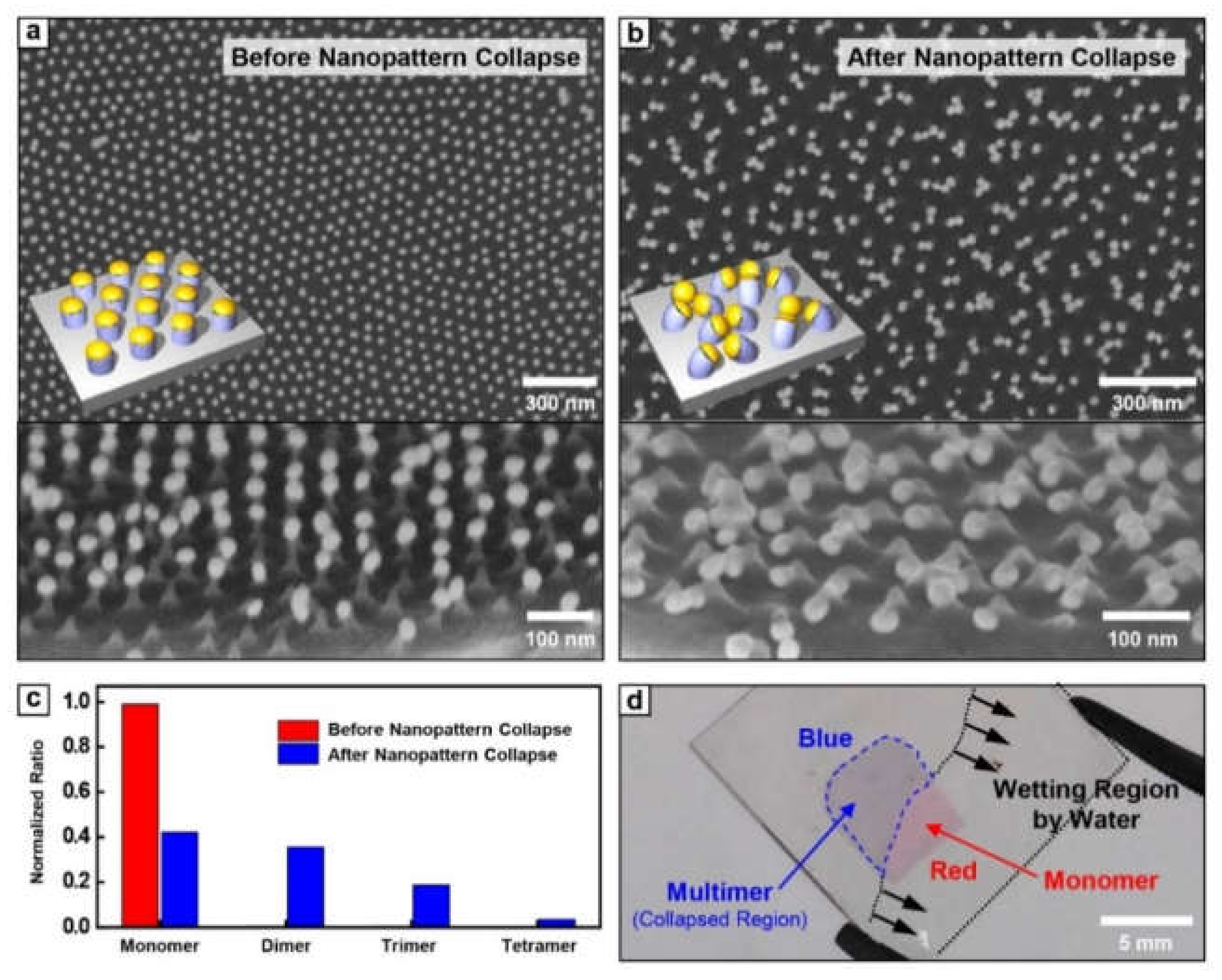 Coatings 11 00076 g002