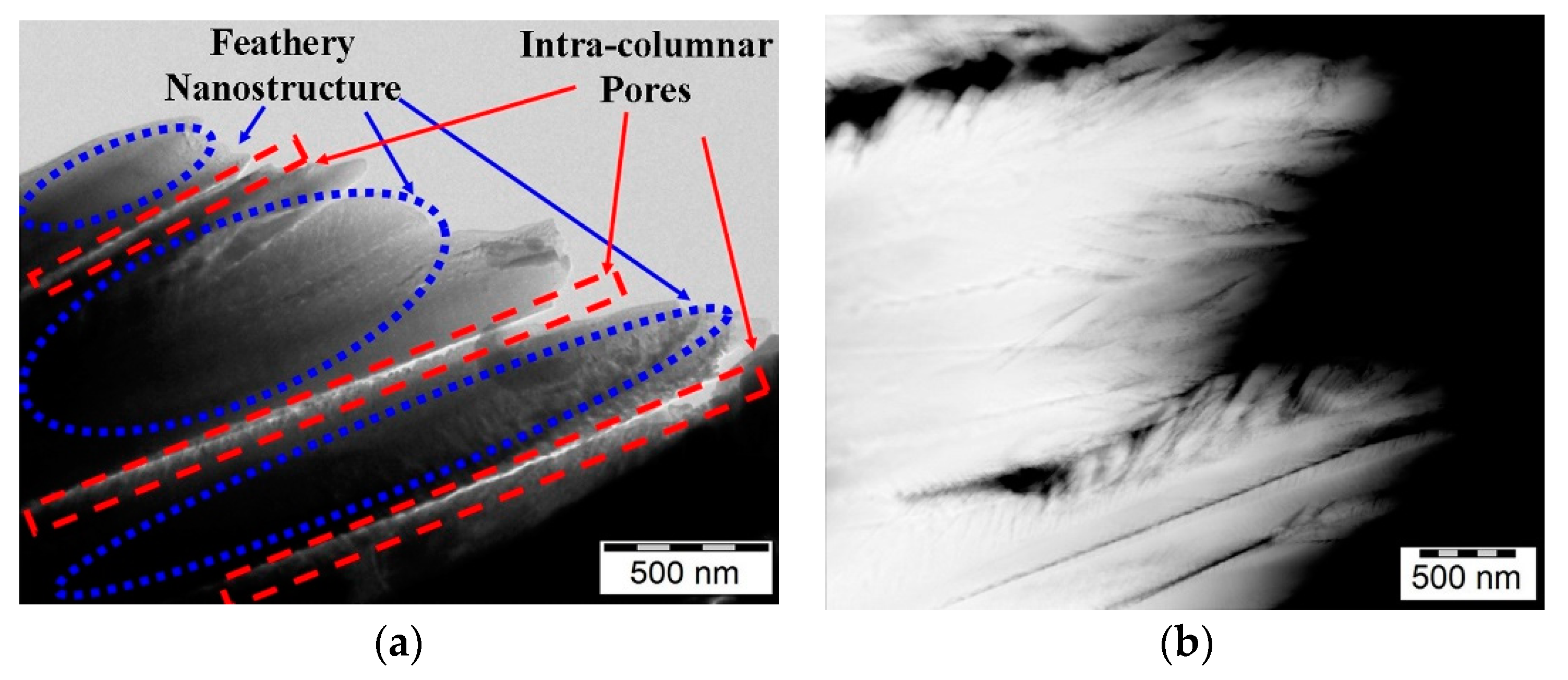 Coatings 11 00079 g003