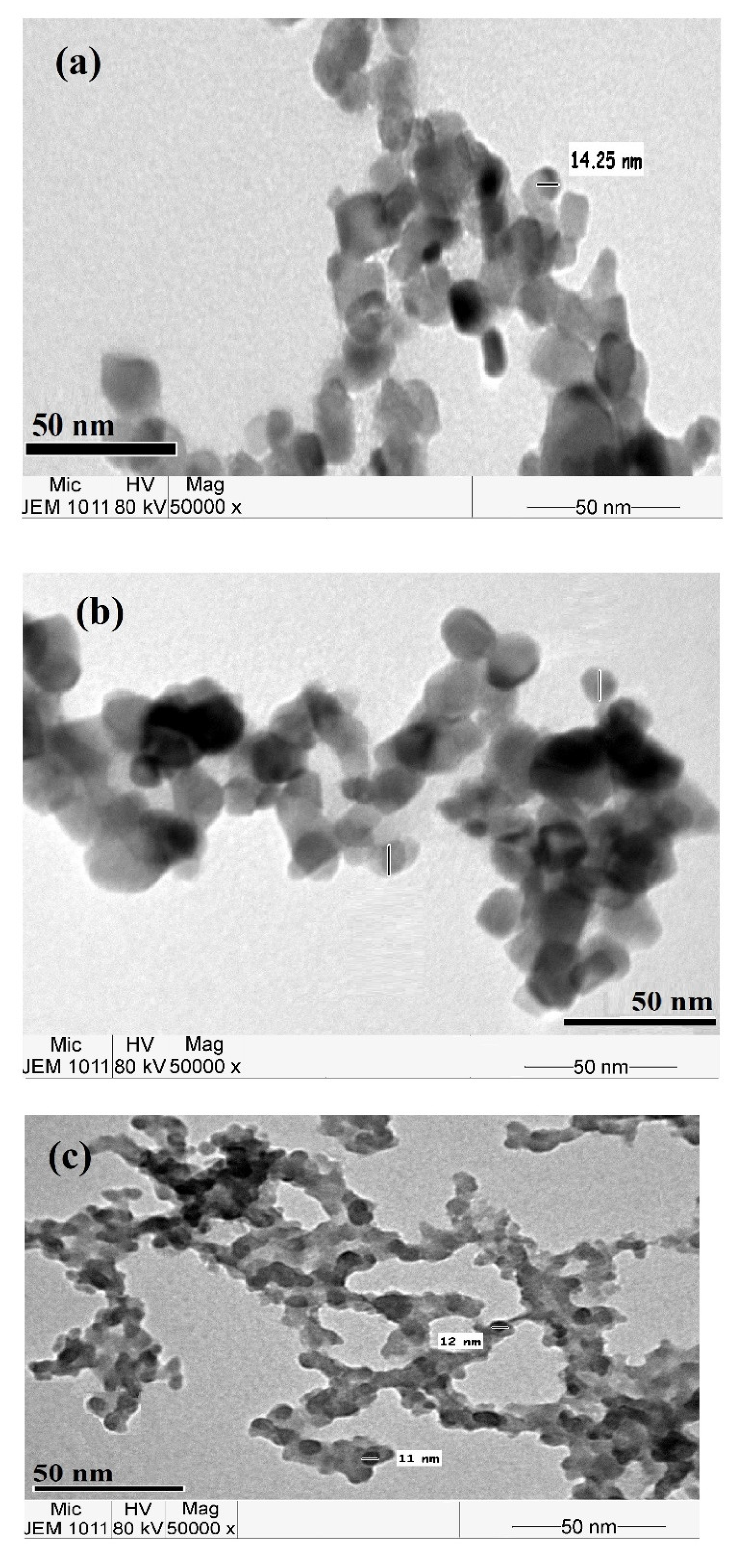 Coatings 11 00083 g005 Coatings 11 00083 g005