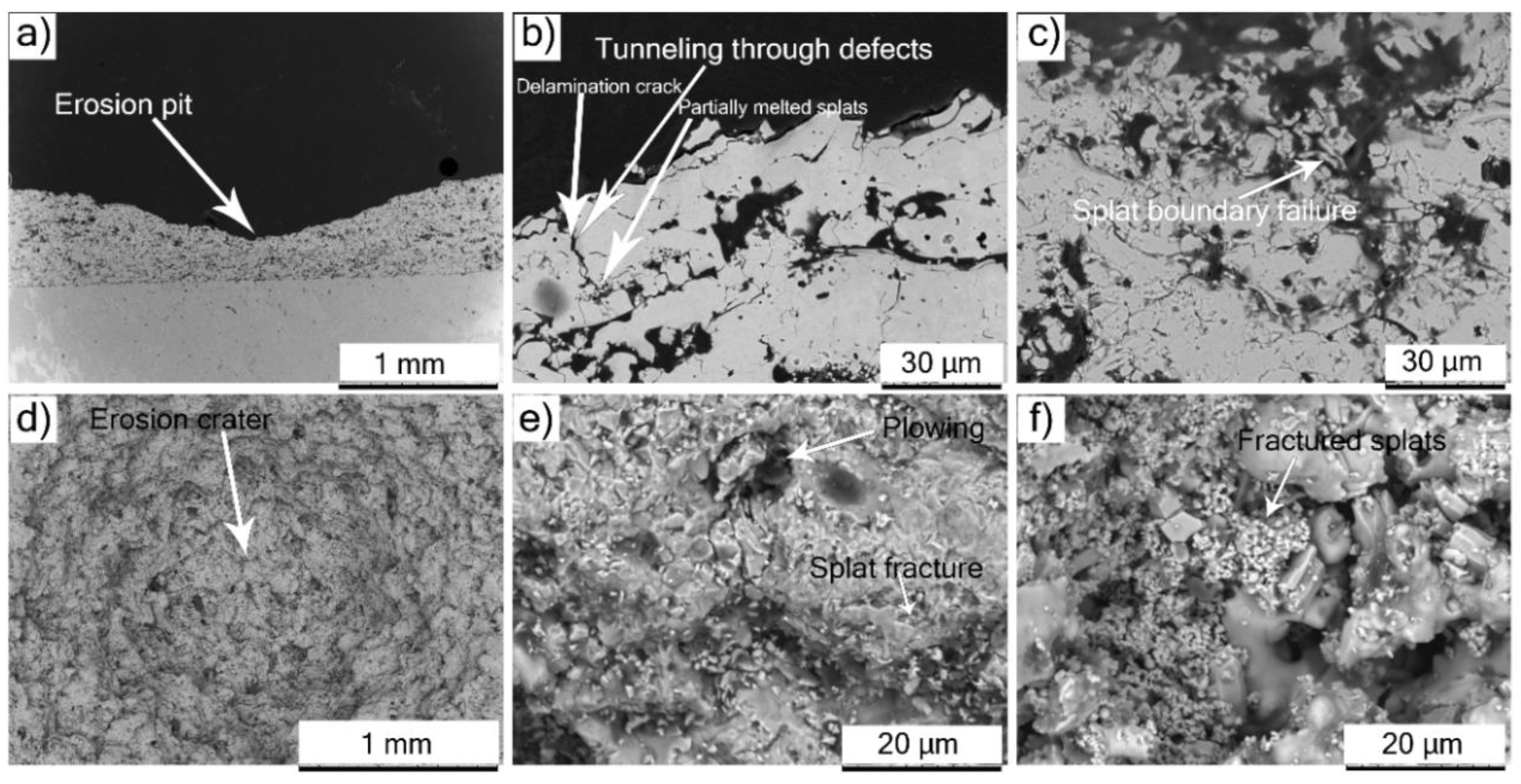 Coatings 11 00086 g013