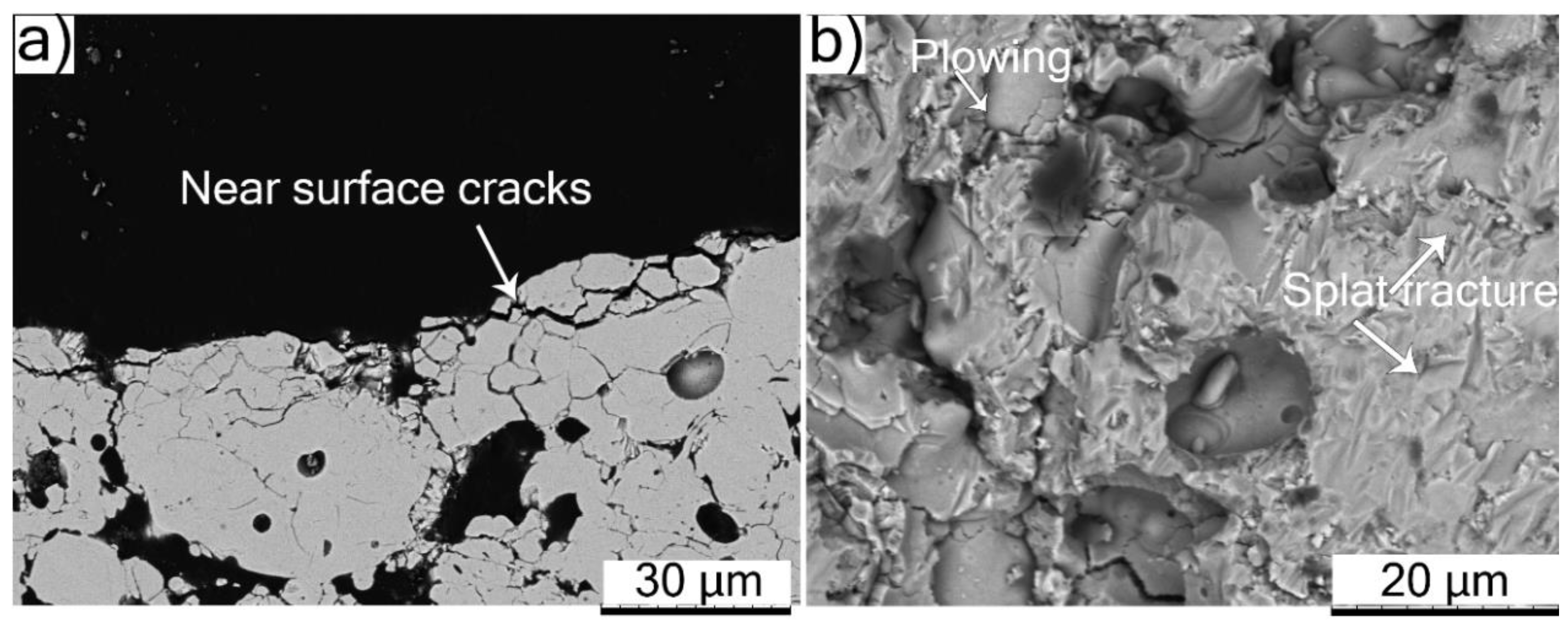 Coatings 11 00086 g016