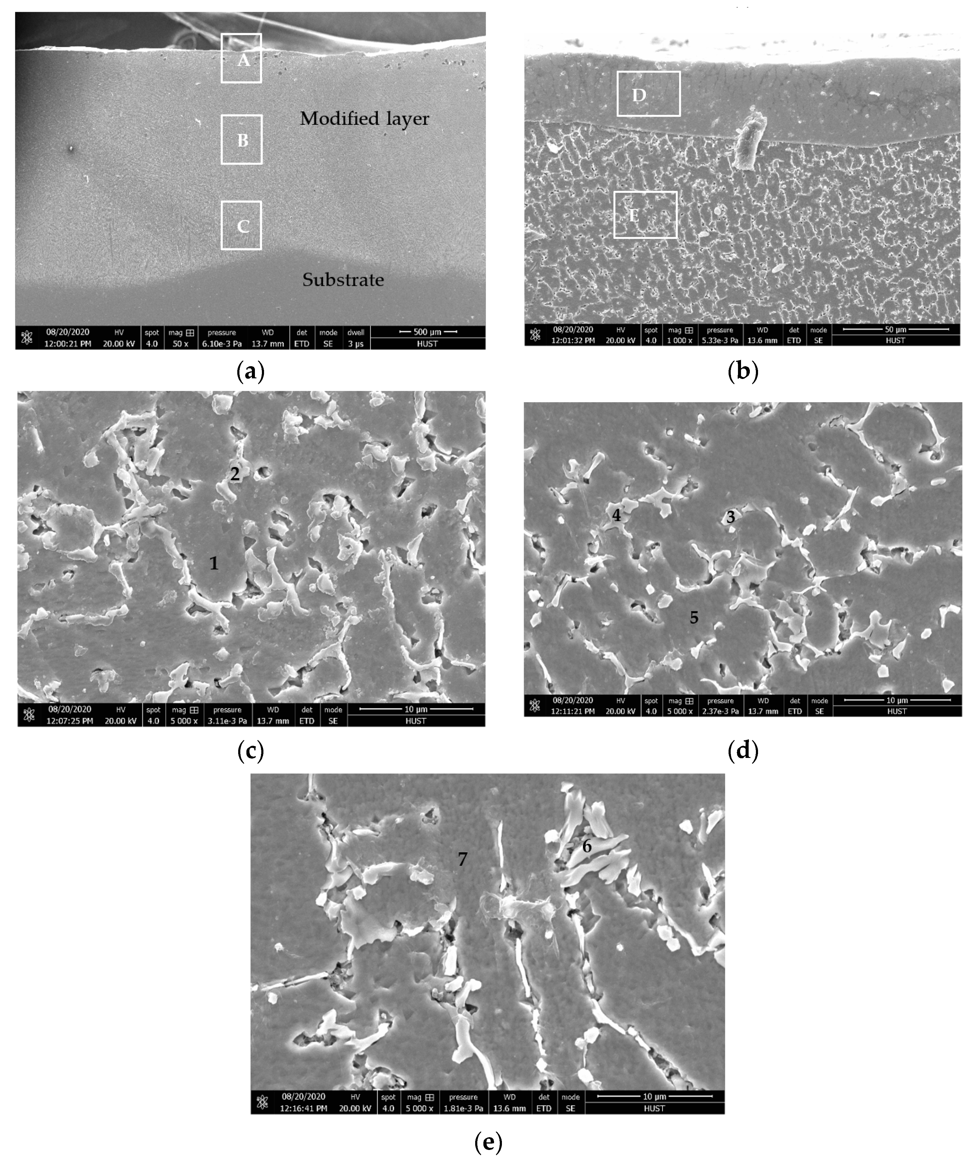 Coatings 11 00101 g002 Coatings 11 00101 g002