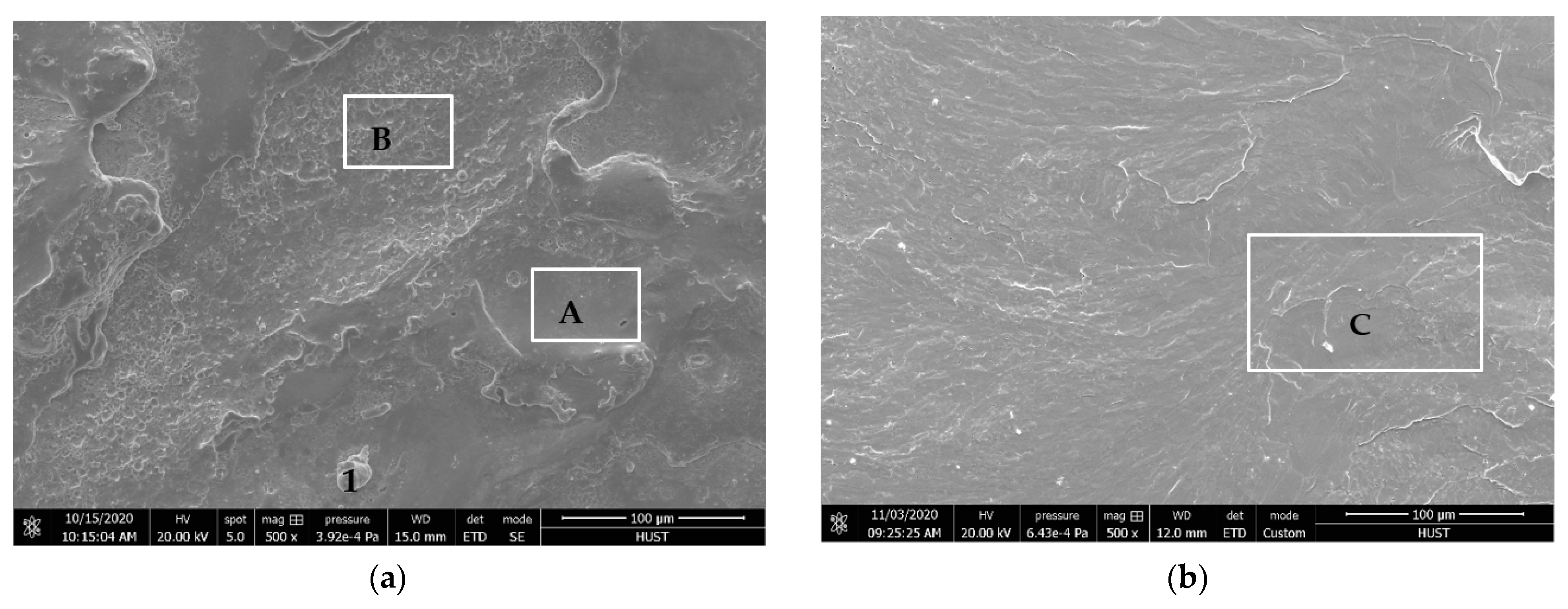 Coatings 11 00101 g006 Coatings 11 00101 g006