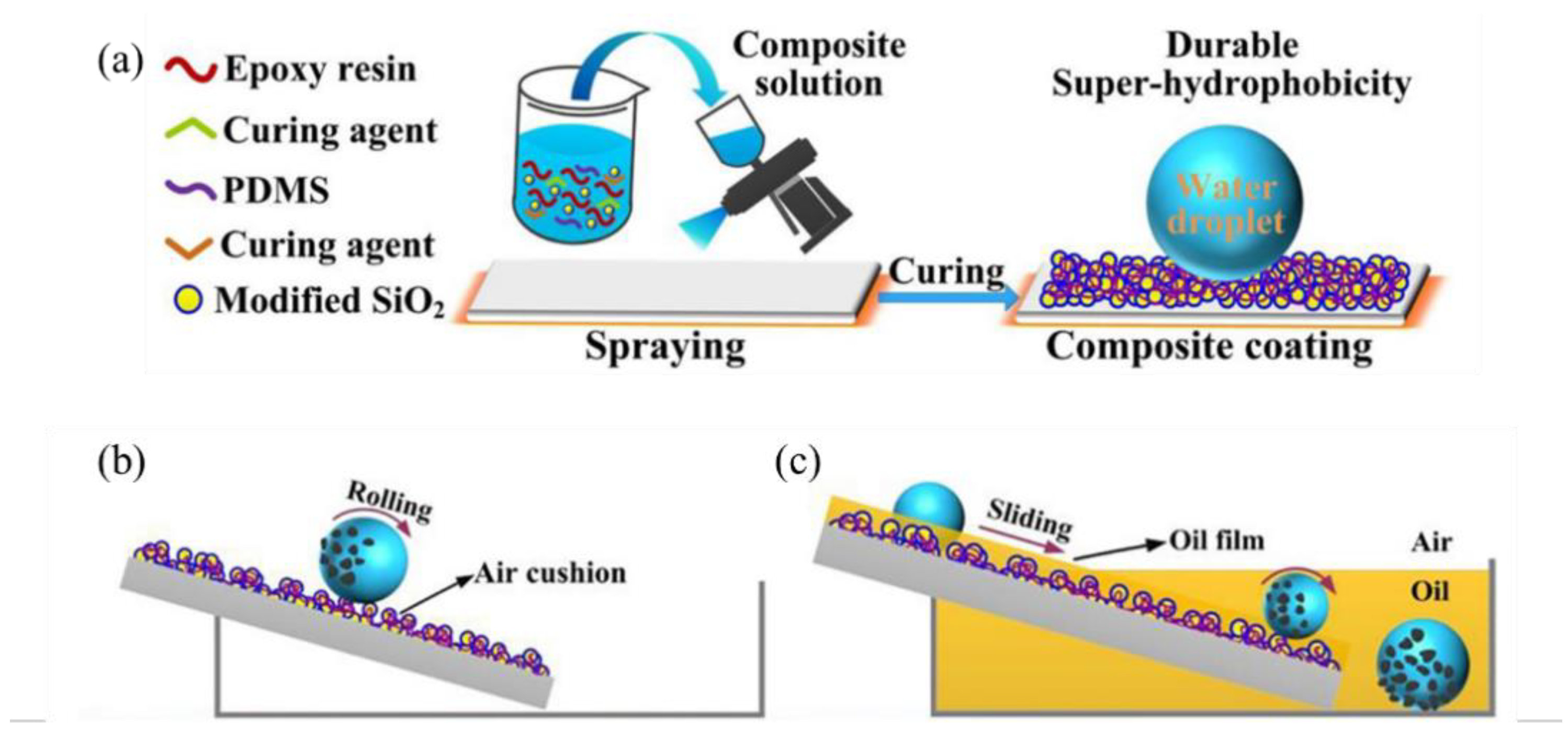 Coatings | Free Full-Text | Recent Progresses of Superhydrophobic Coatings  in Different Application Fields: An Overview | HTML
