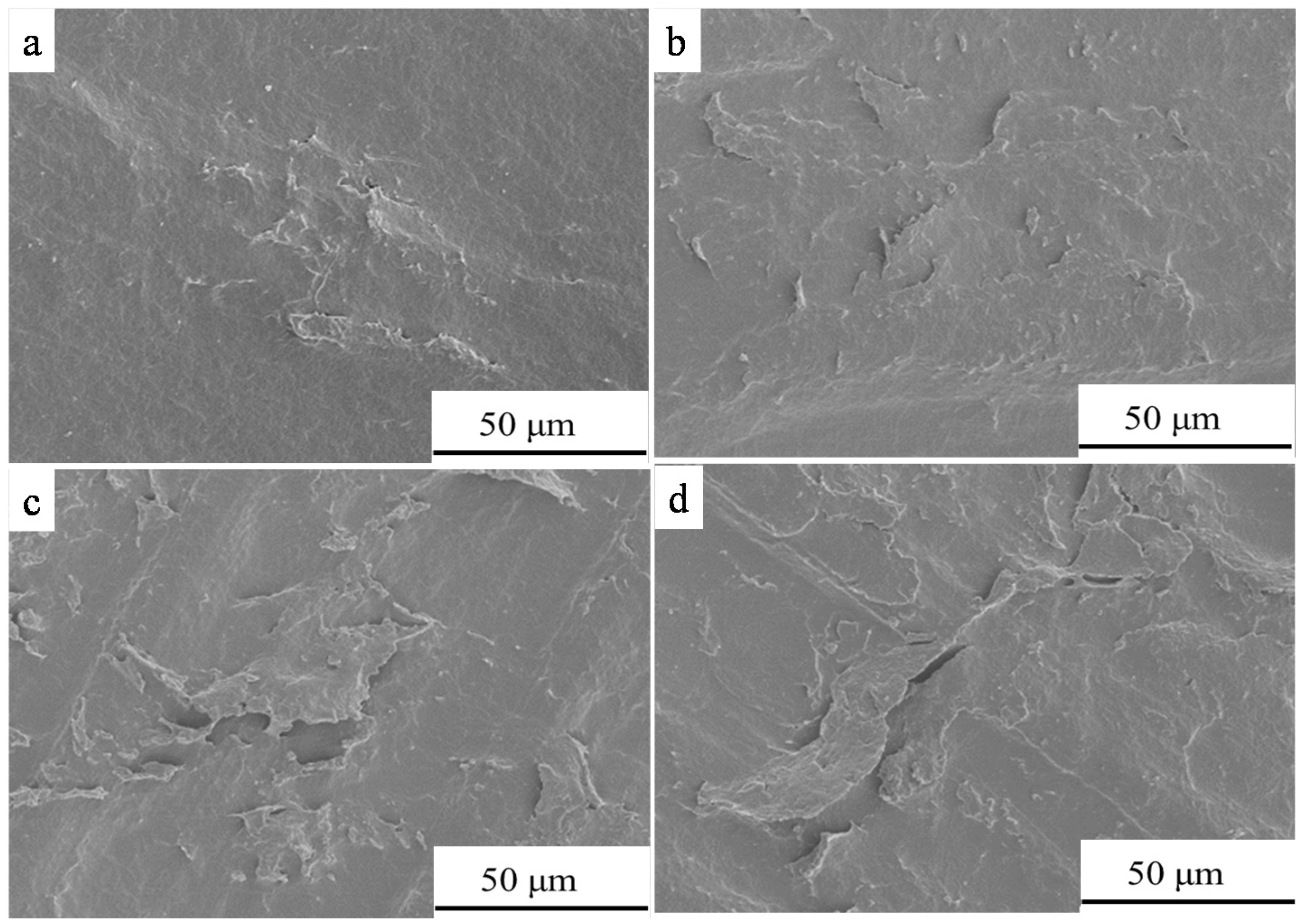 Coatings 11 00128 g003