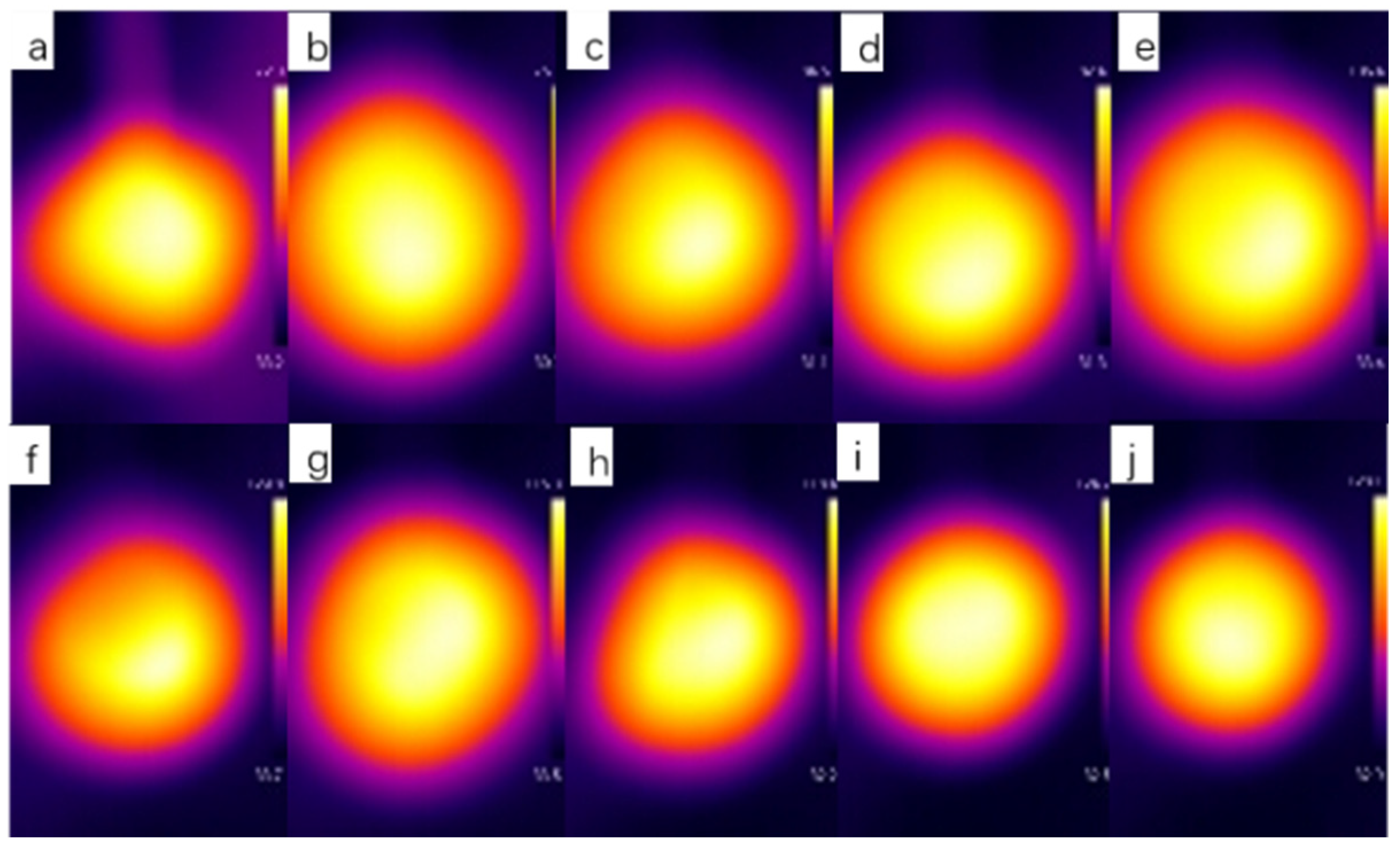 Coatings 11 00128 g011