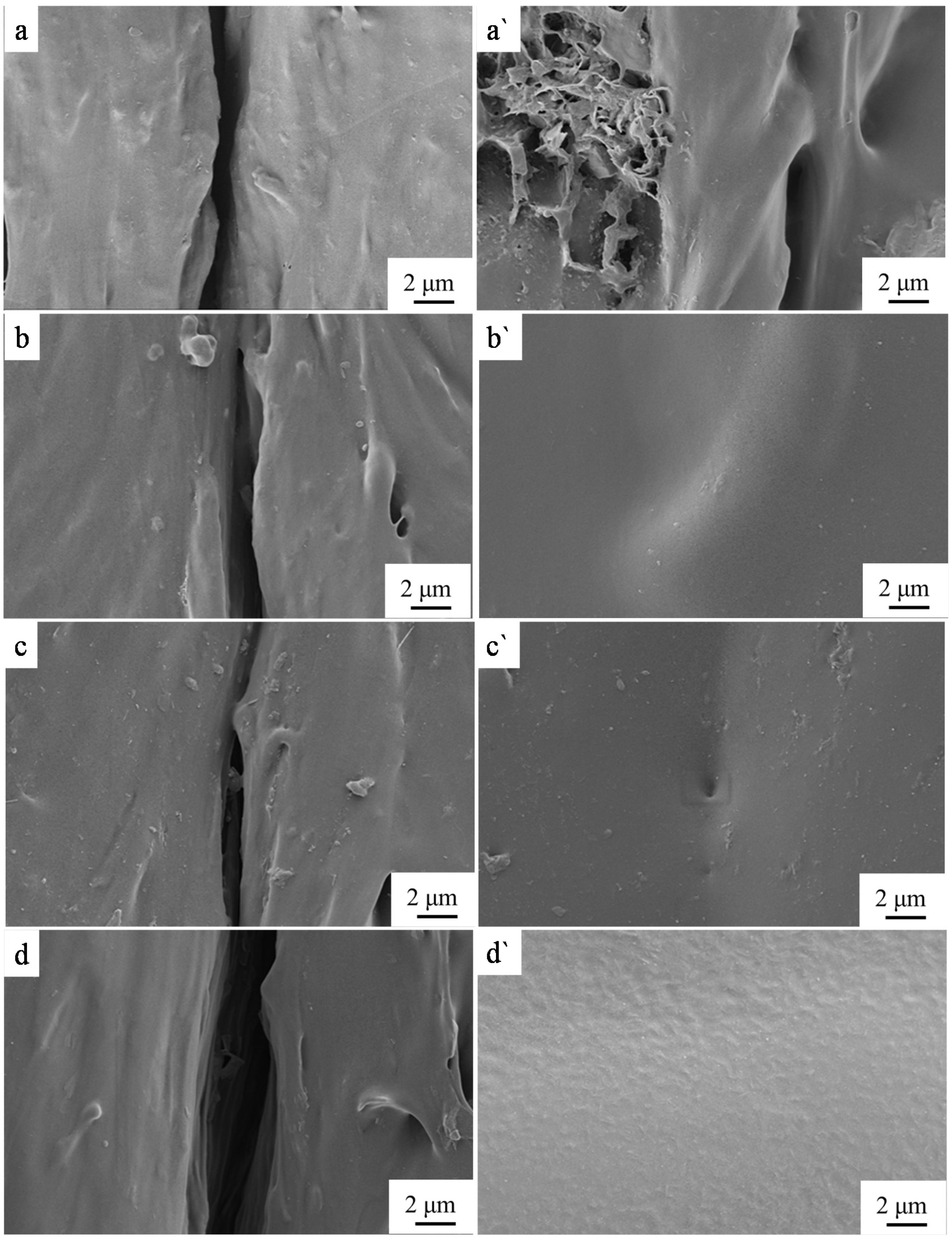 Coatings 11 00128 g013