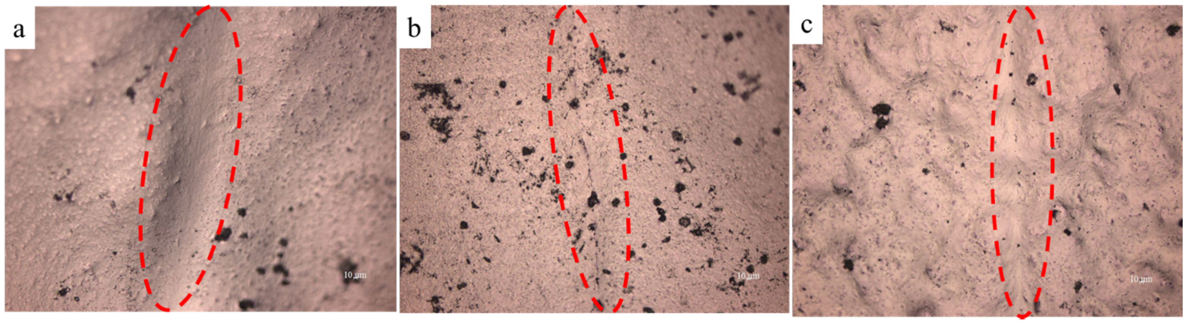 Coatings 11 00128 g014