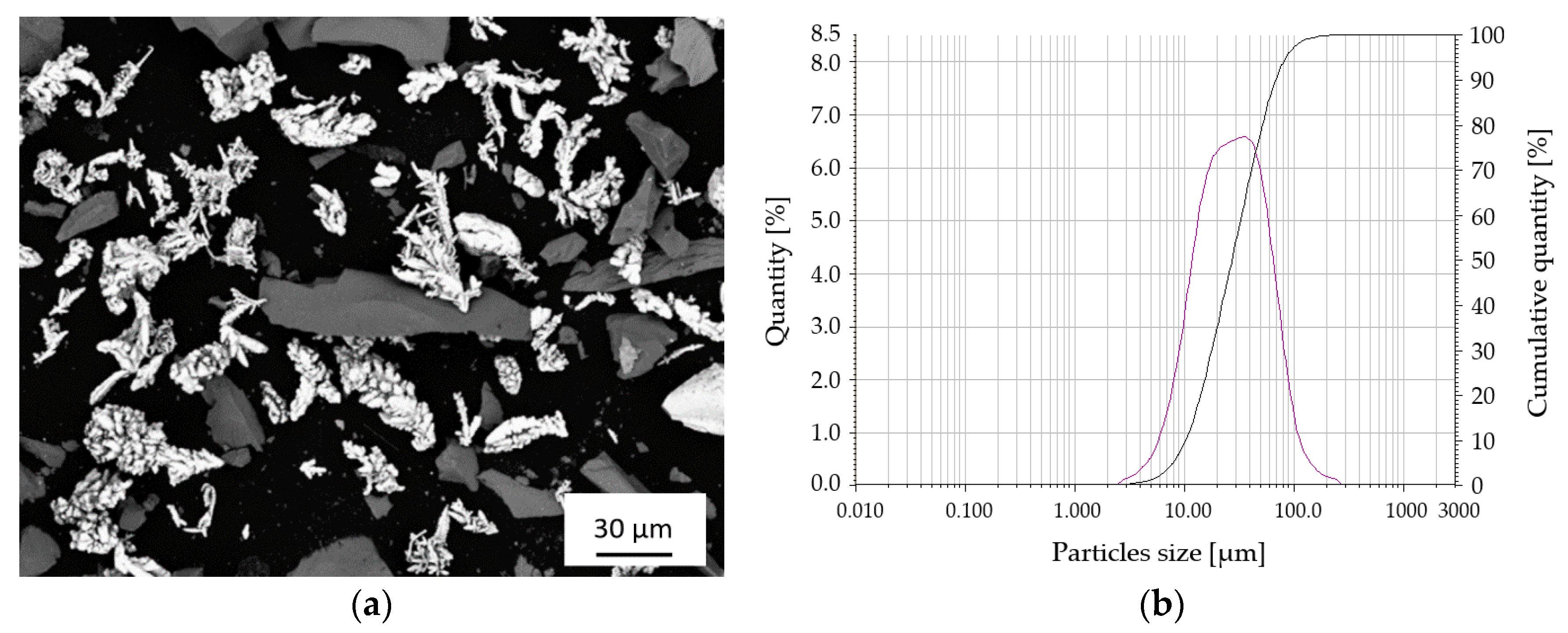 Coatings 11 00134 g001