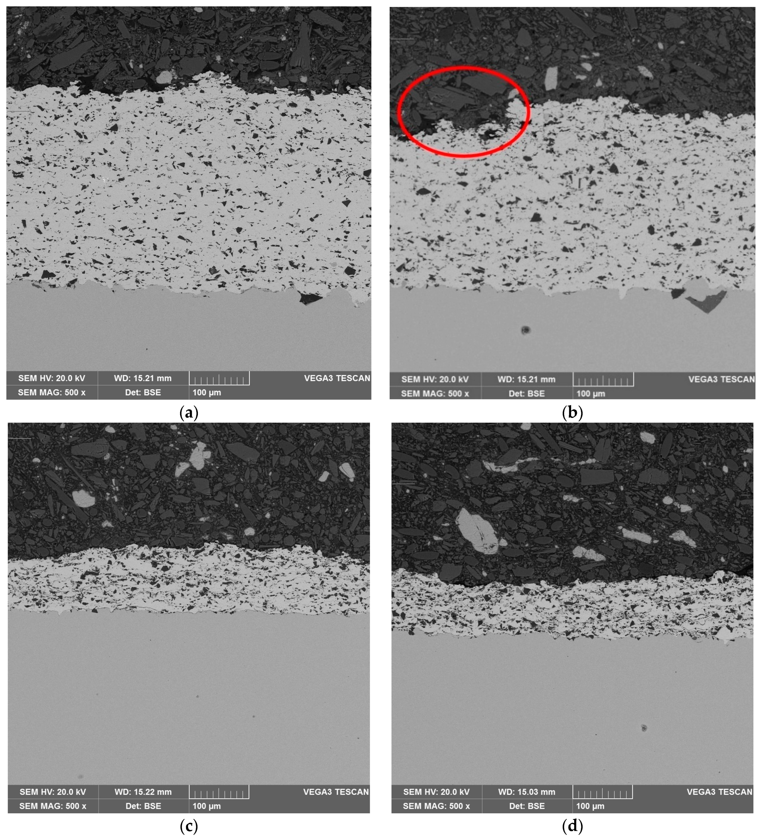 Coatings 11 00134 g006