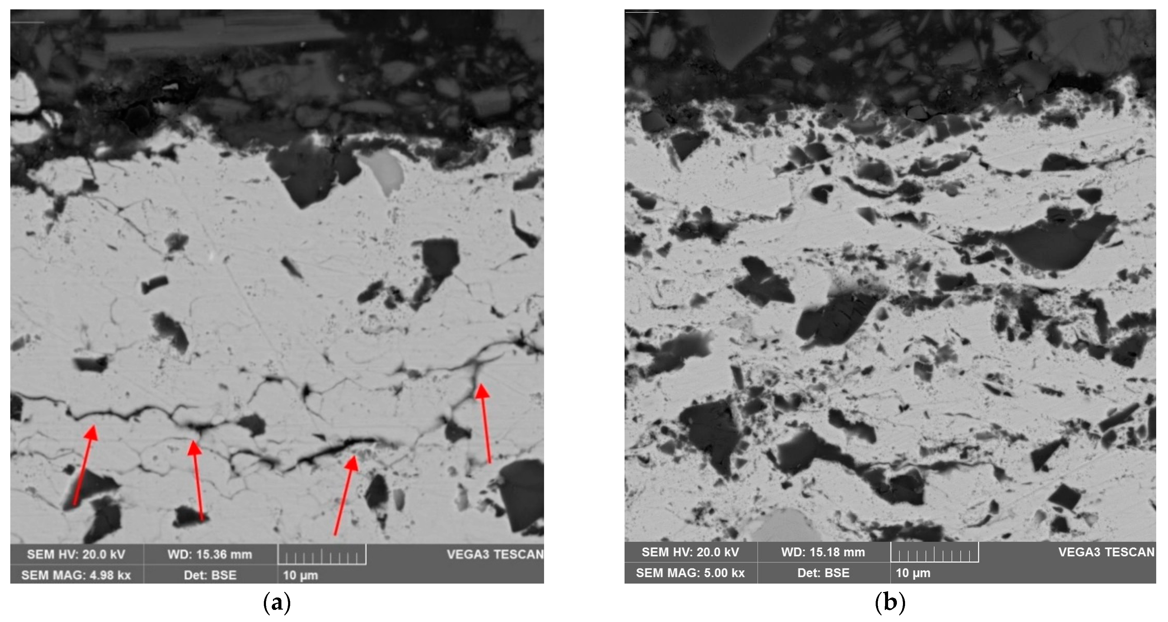 Coatings 11 00134 g007