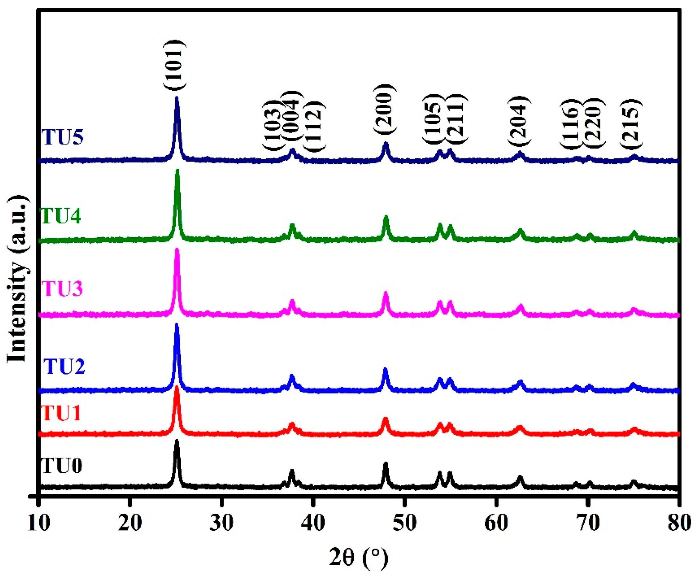 Coatings 11 00165 g001