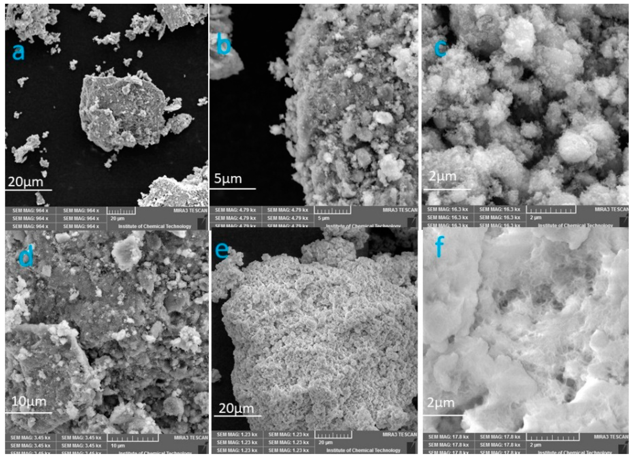 Coatings 11 00165 g003