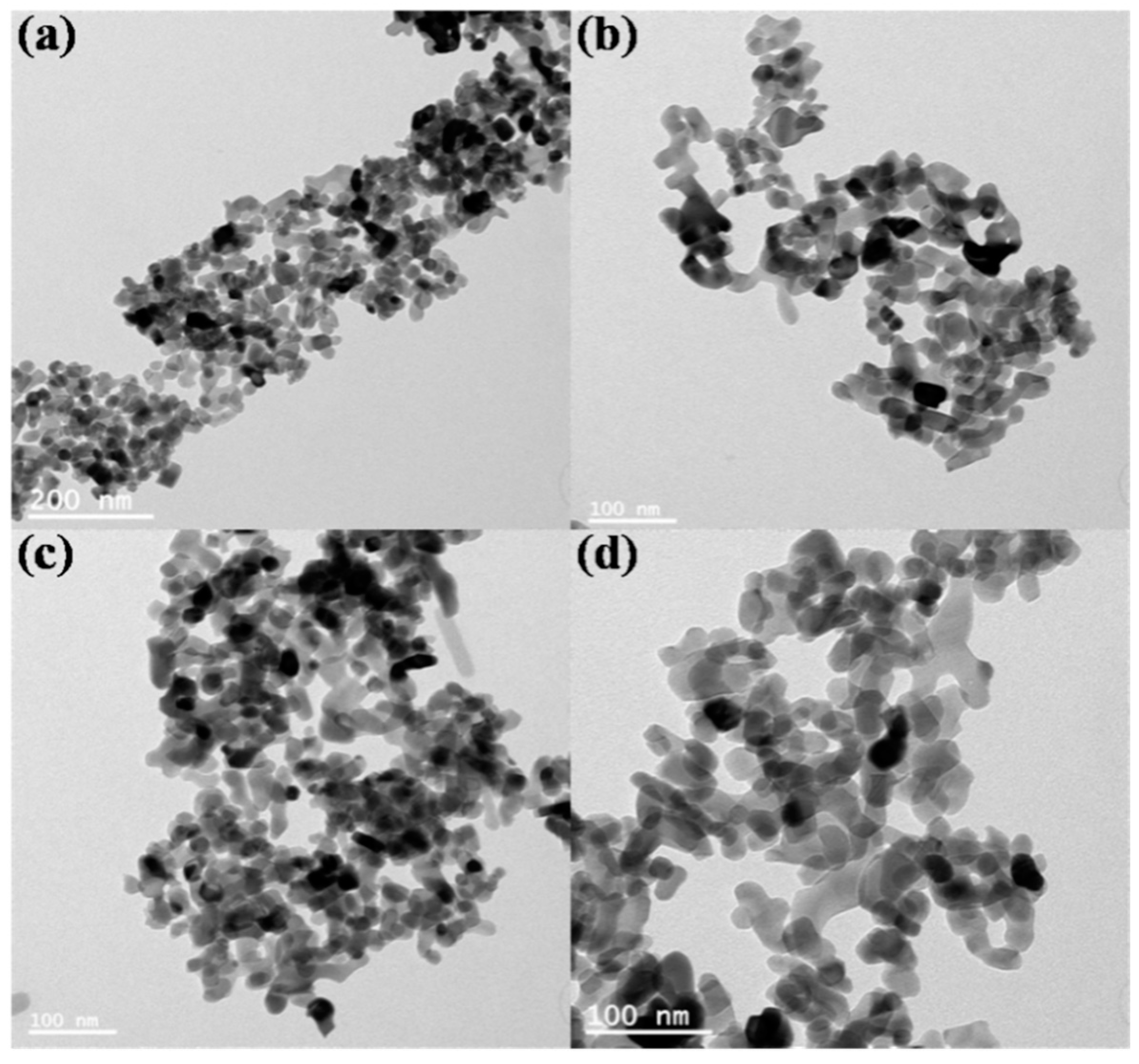 Coatings 11 00165 g004