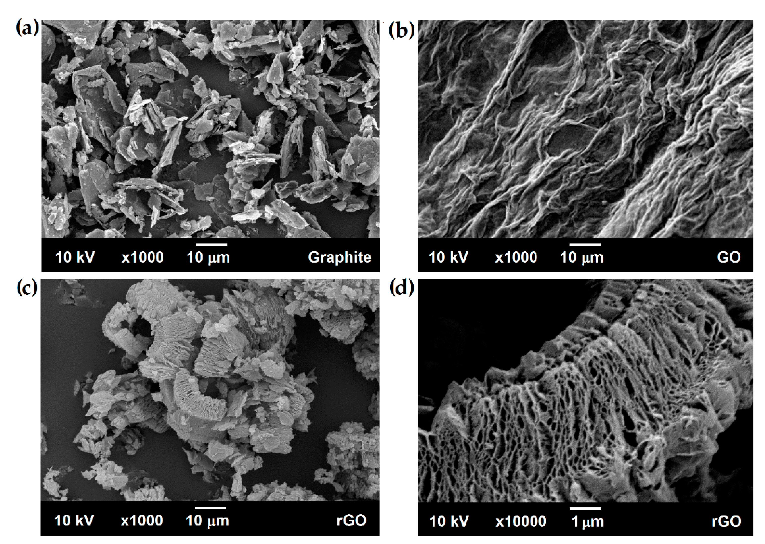 Coatings 11 00166 g005