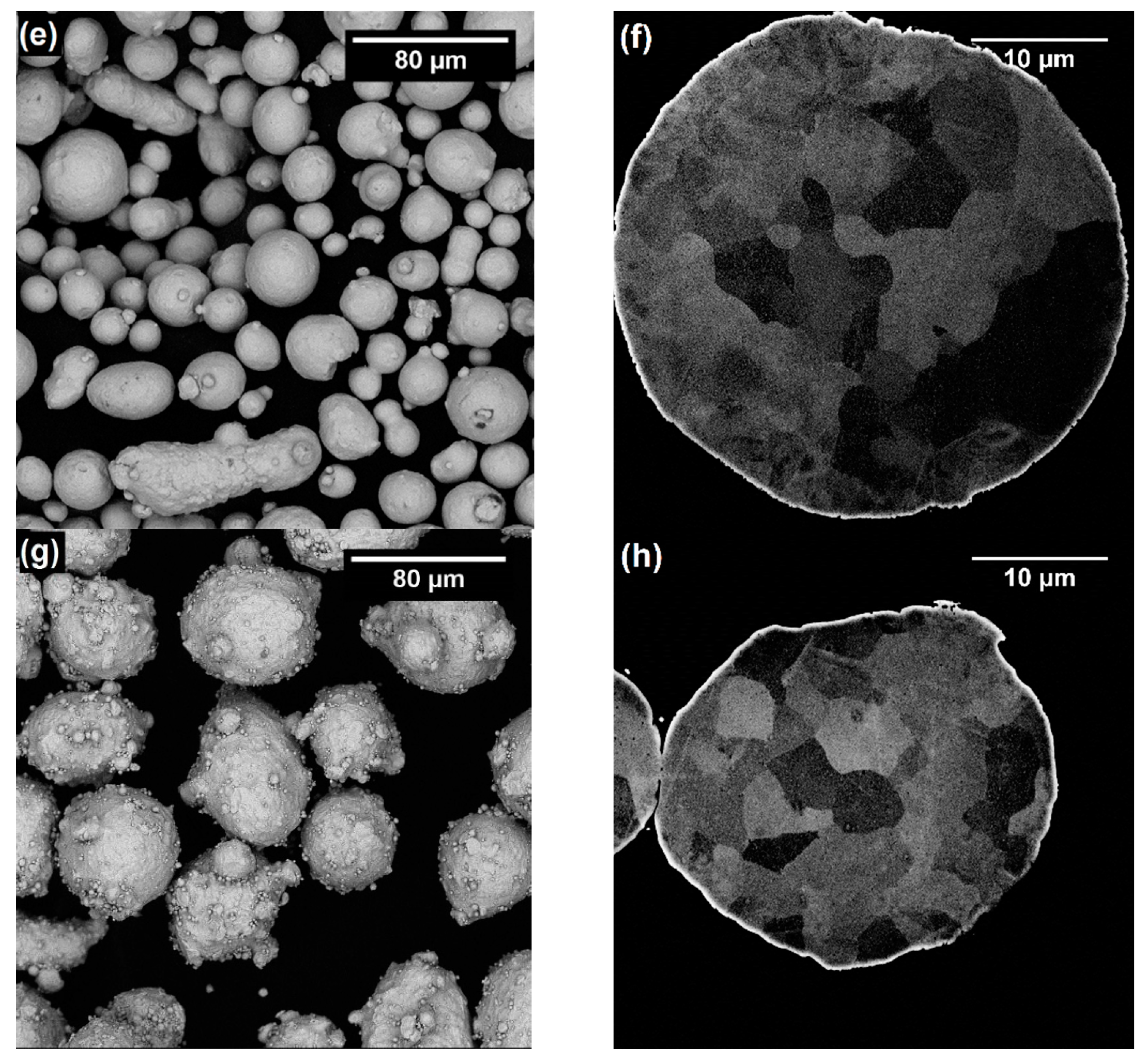 Coatings 11 00168 g002b Coatings 11 00168 g002b