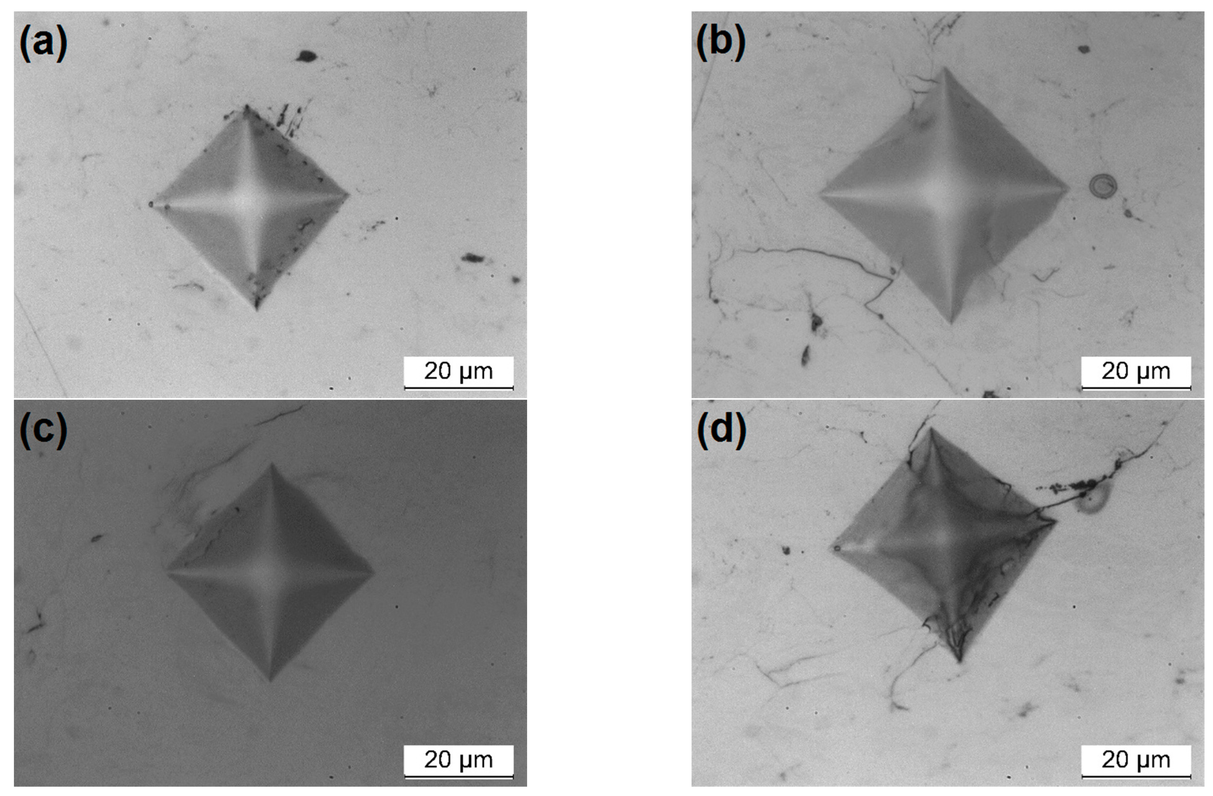 Coatings 11 00168 g007 Coatings 11 00168 g007