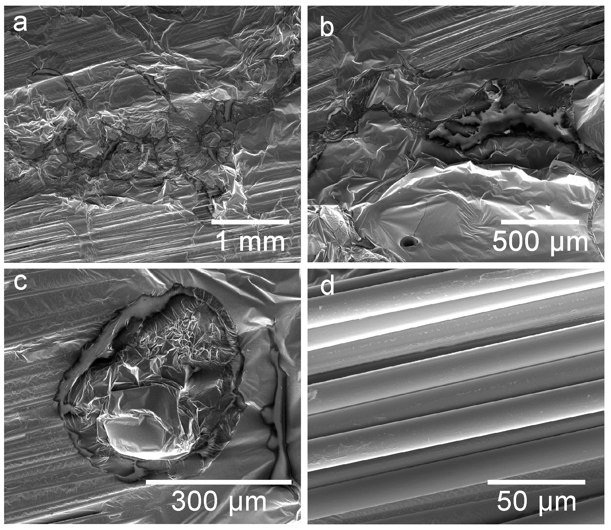 Coatings 11 00190 g005