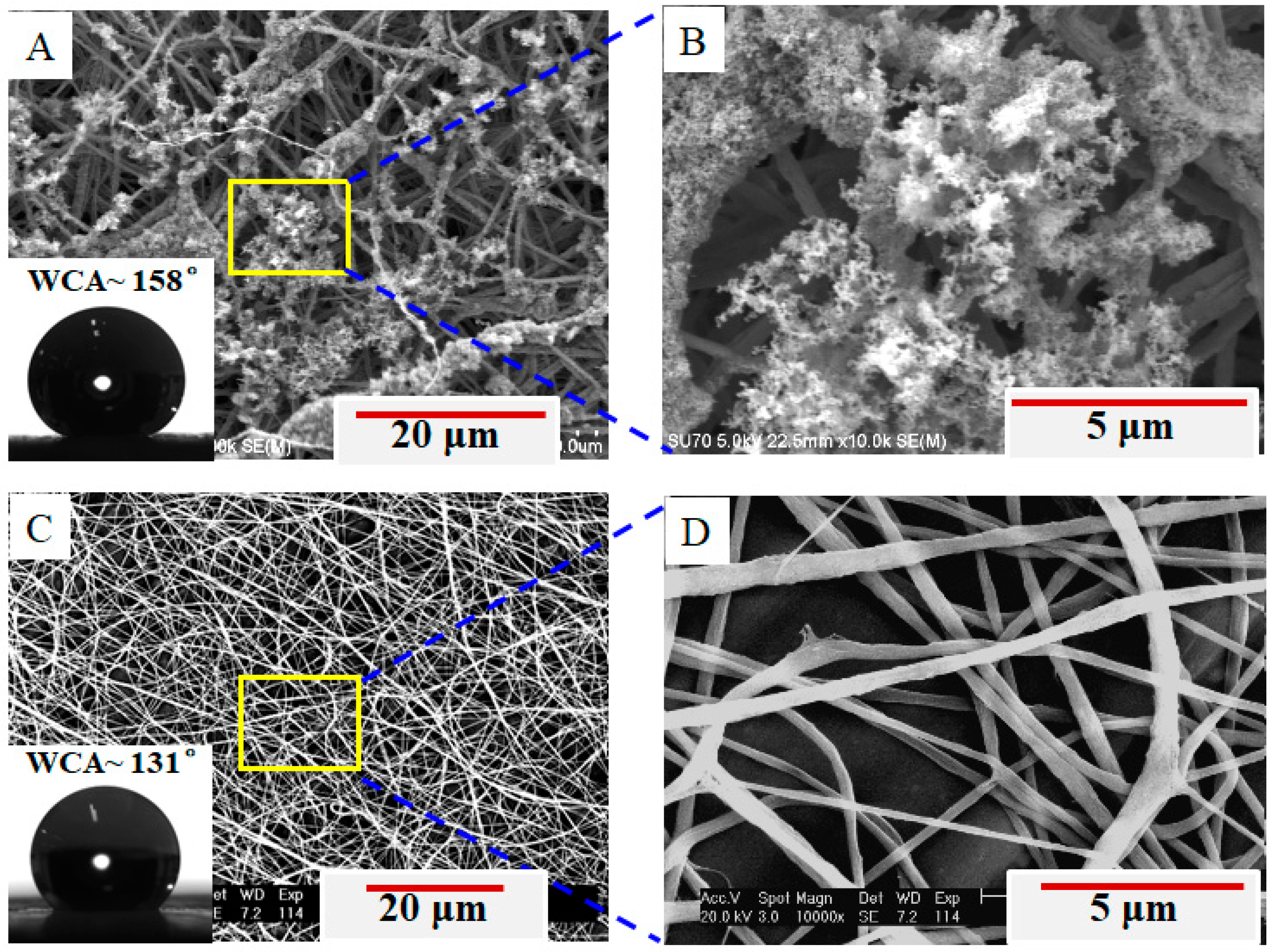 Coatings 11 00228 g002