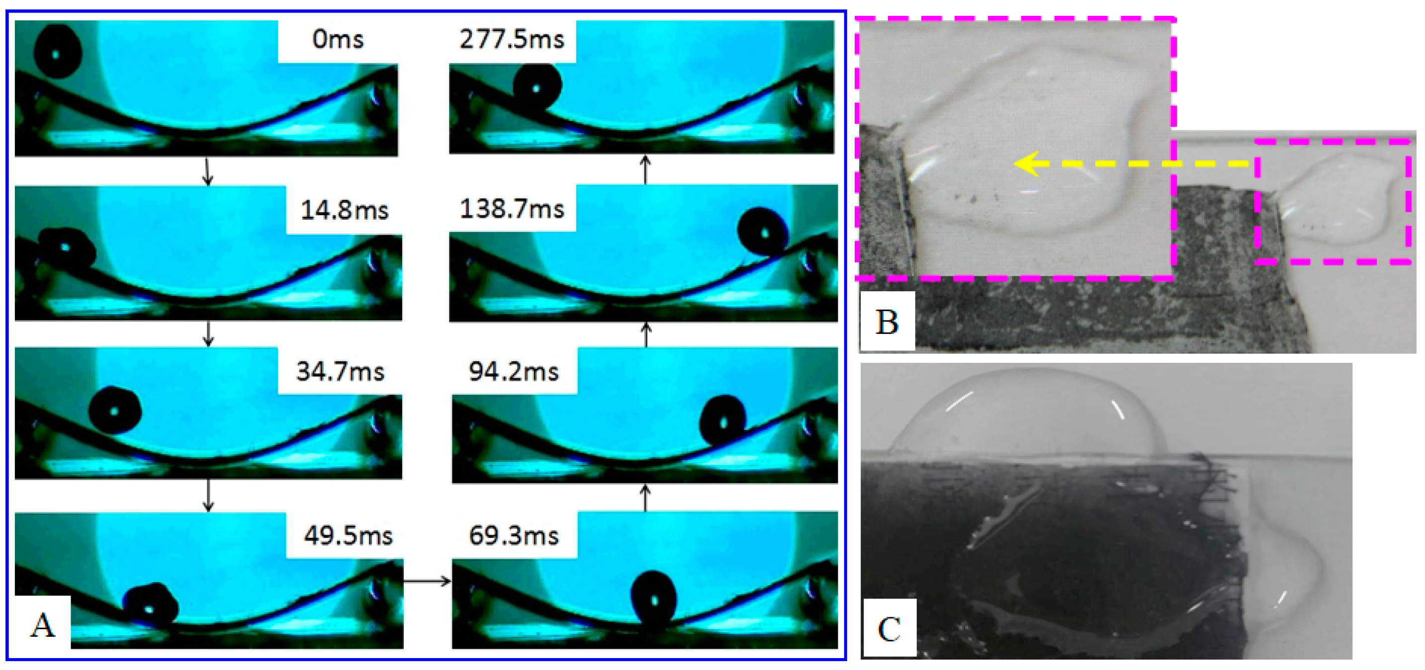 Coatings 11 00228 g003