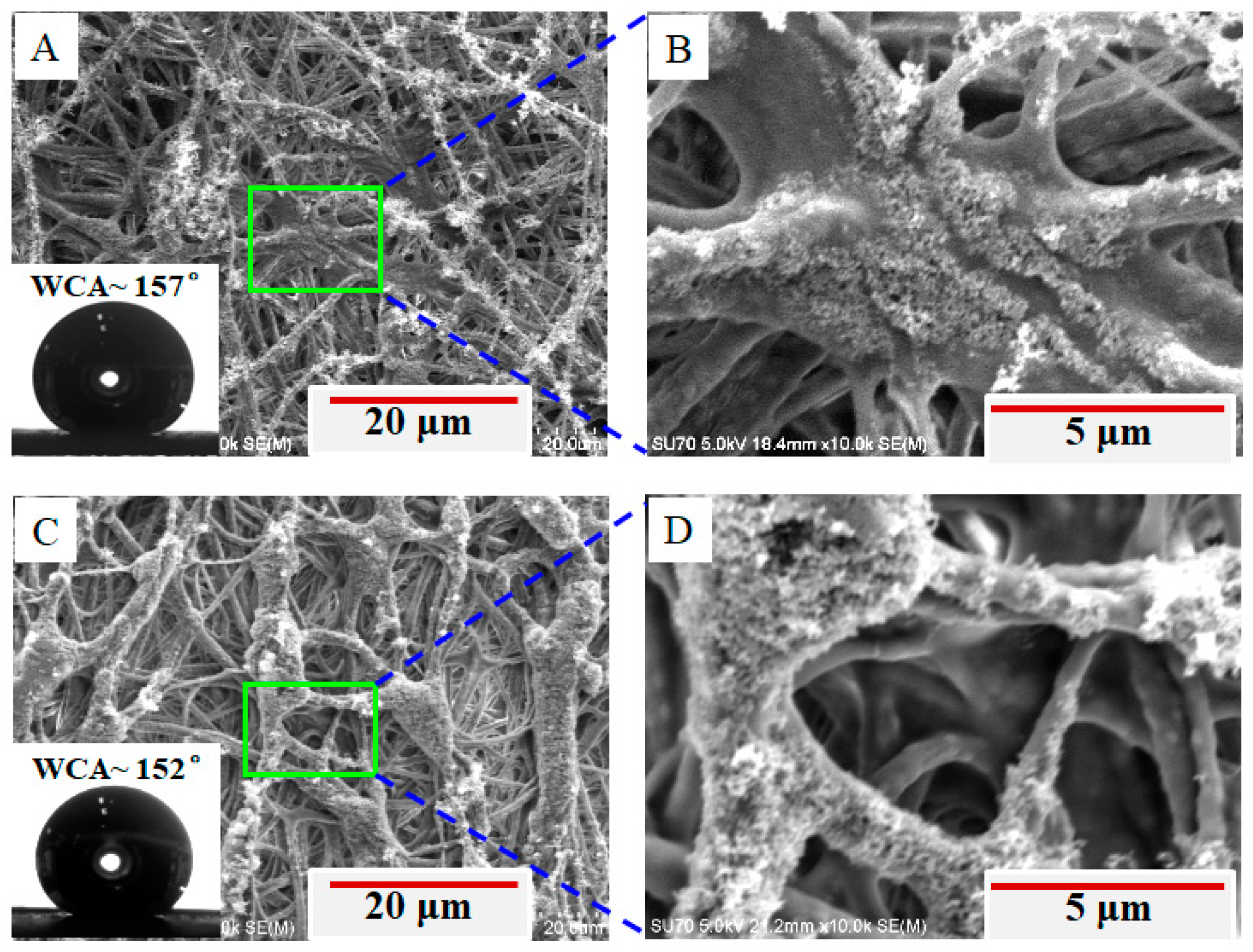 Coatings 11 00228 g004
