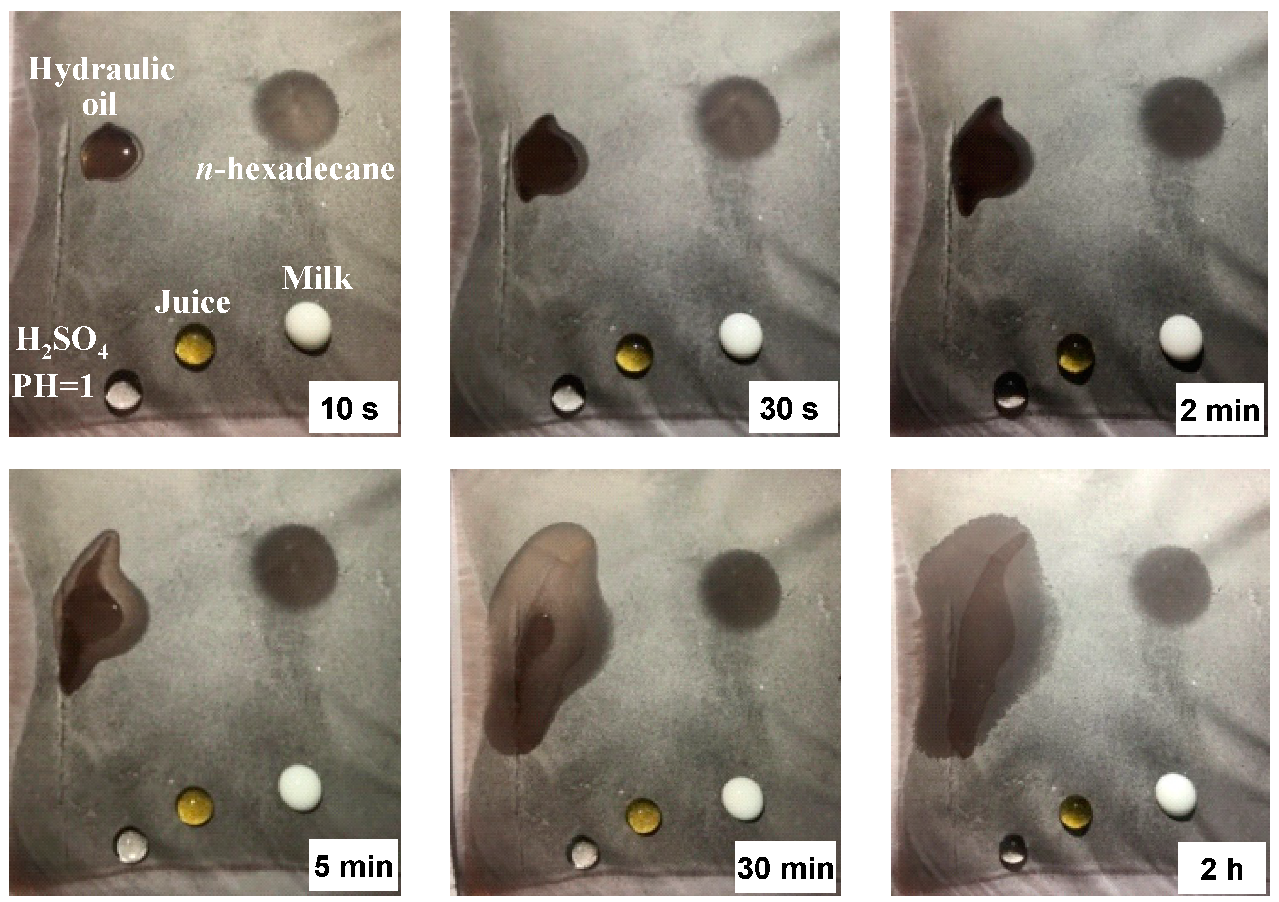 Coatings 11 00228 g006