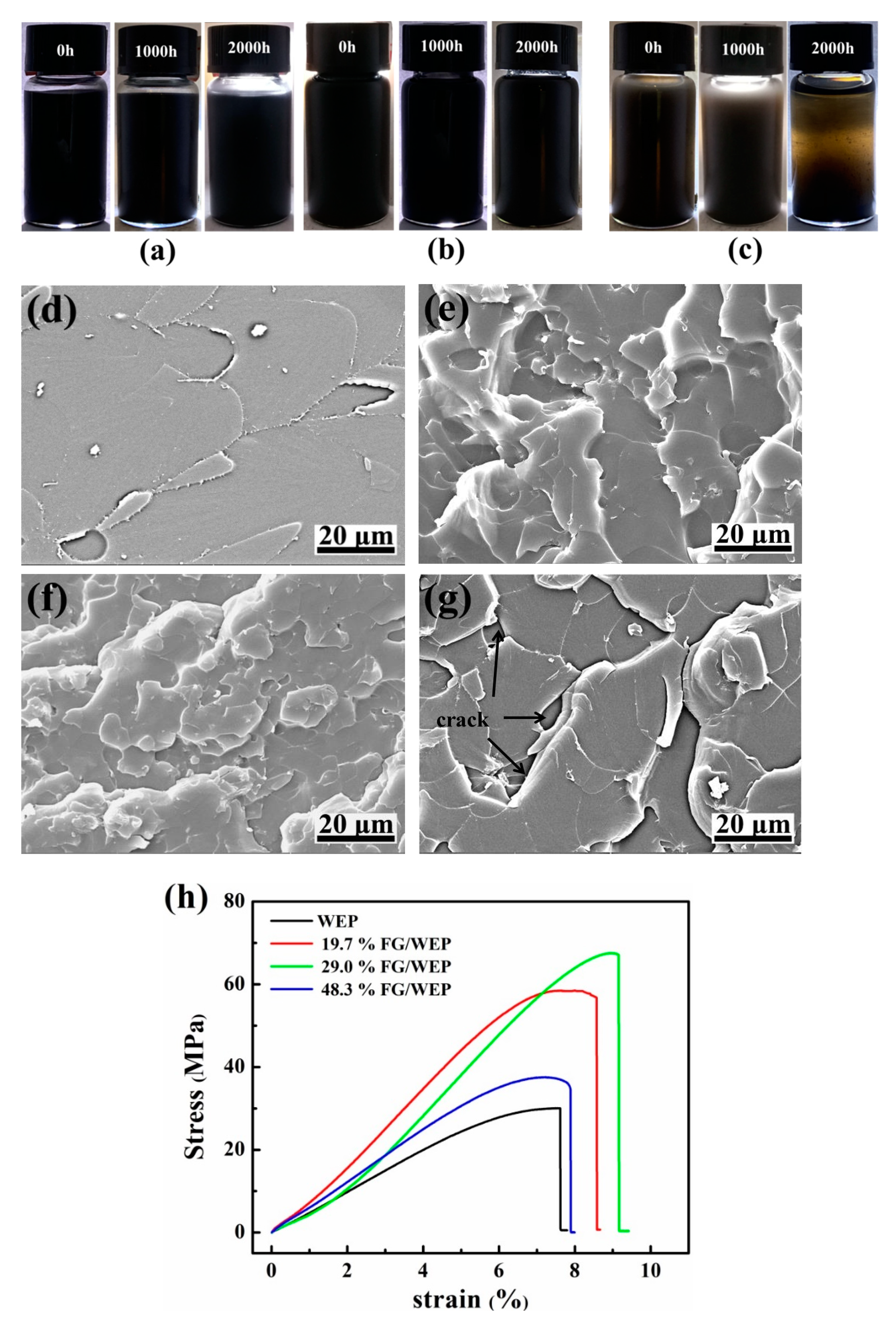 Coatings 11 00254 g003 Coatings 11 00254 g003