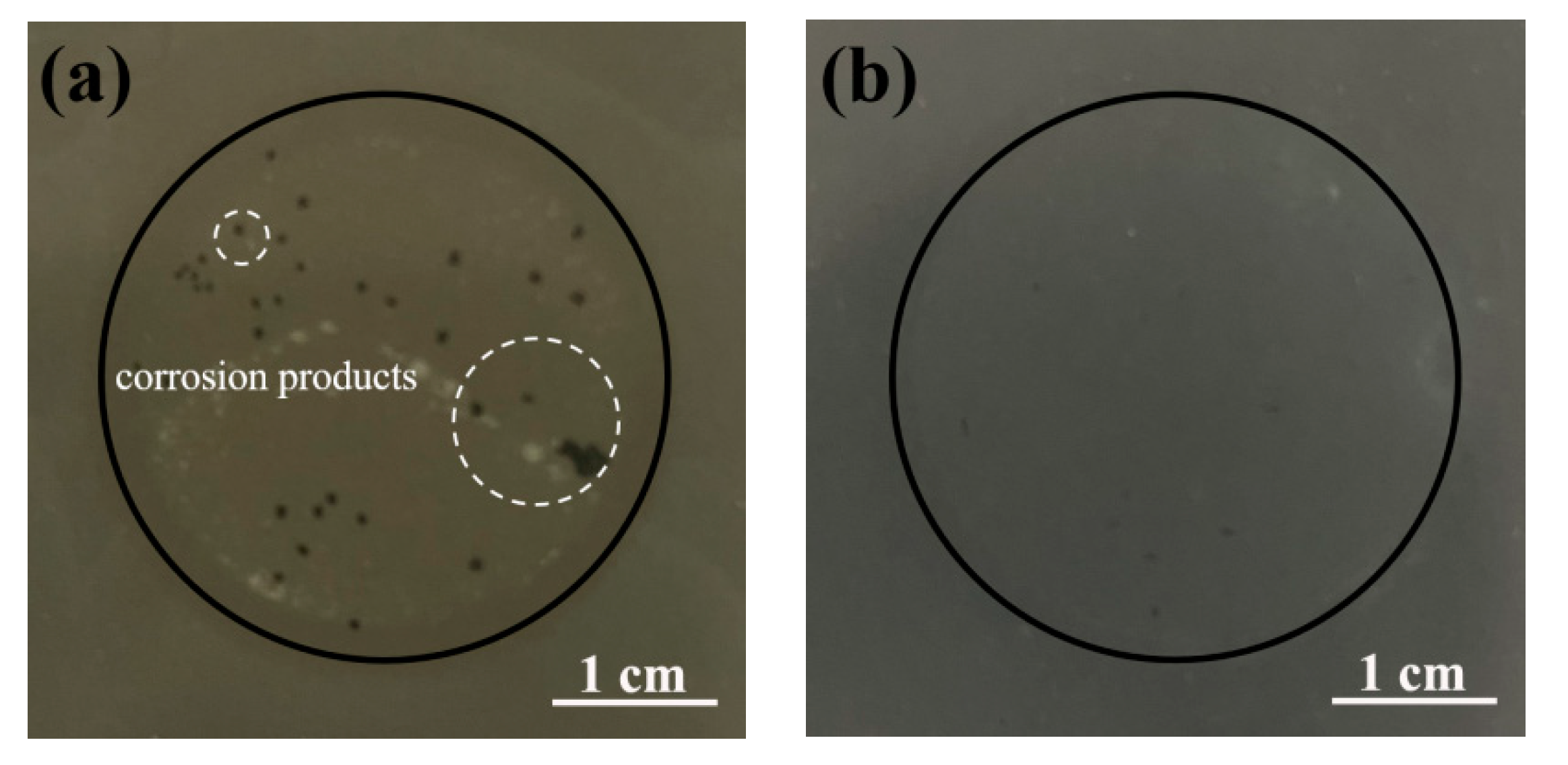 Coatings 11 00254 g008a Coatings 11 00254 g008a