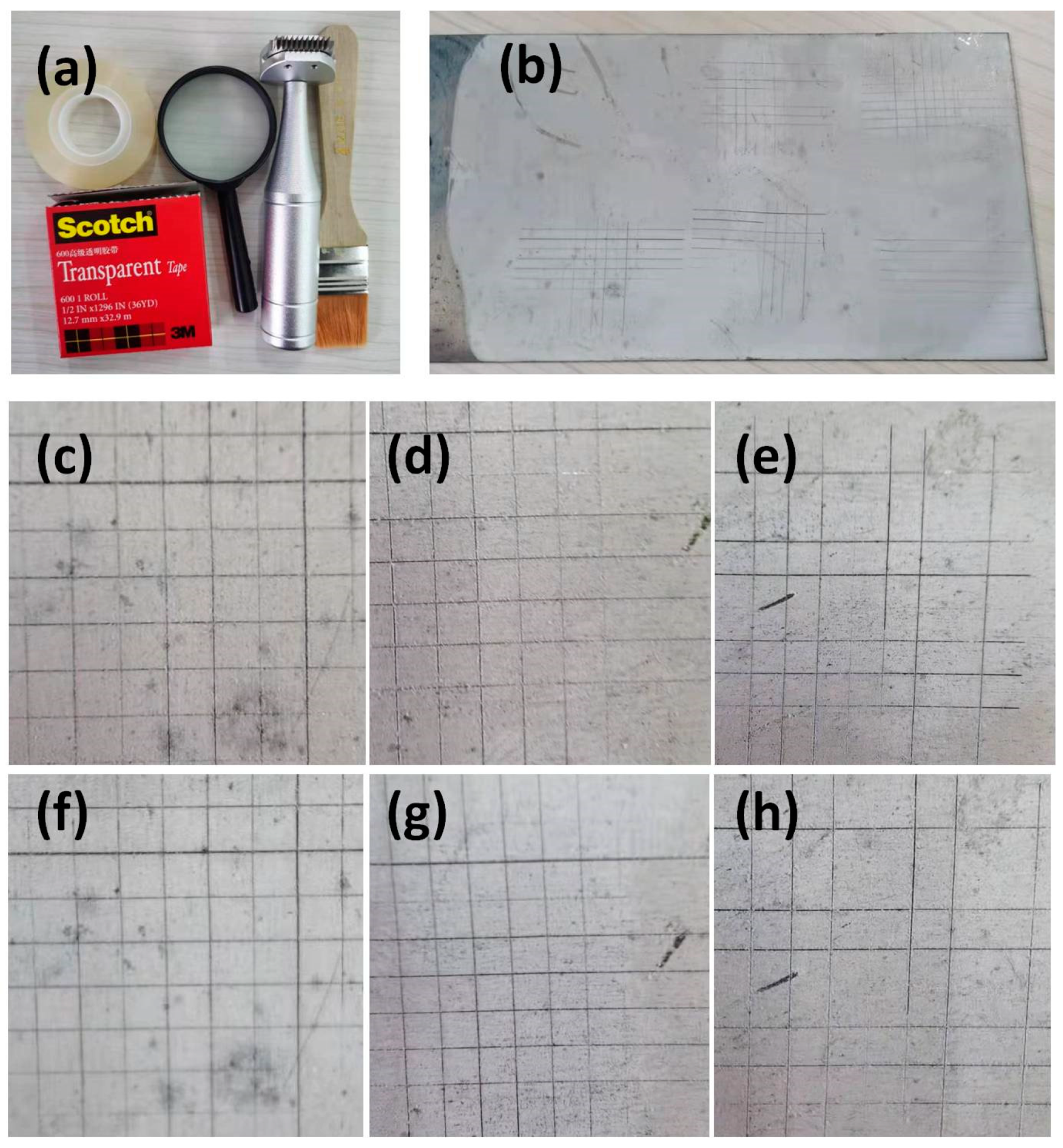 Coatings 11 00256 g006