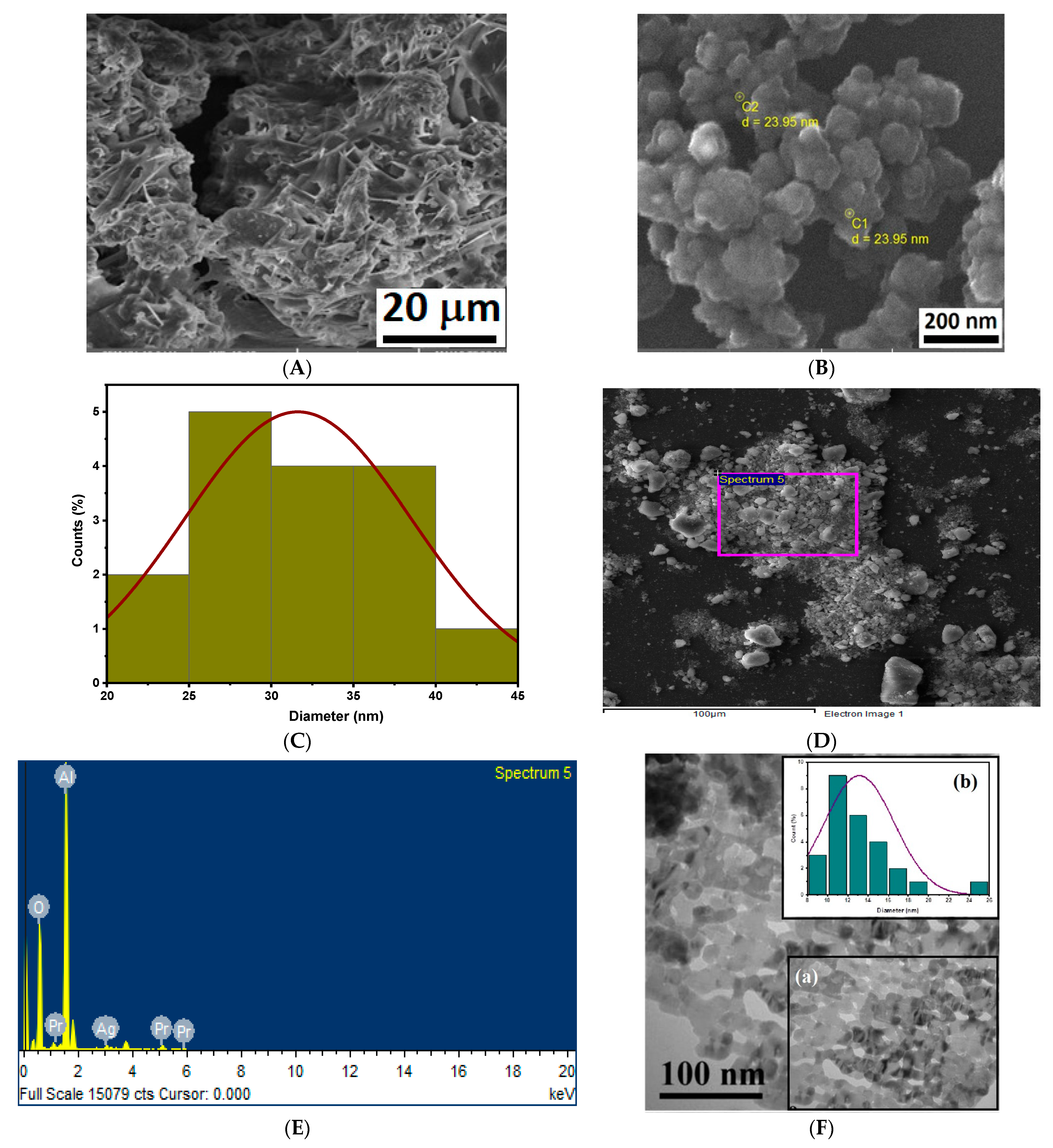 Coatings 11 00257 g004