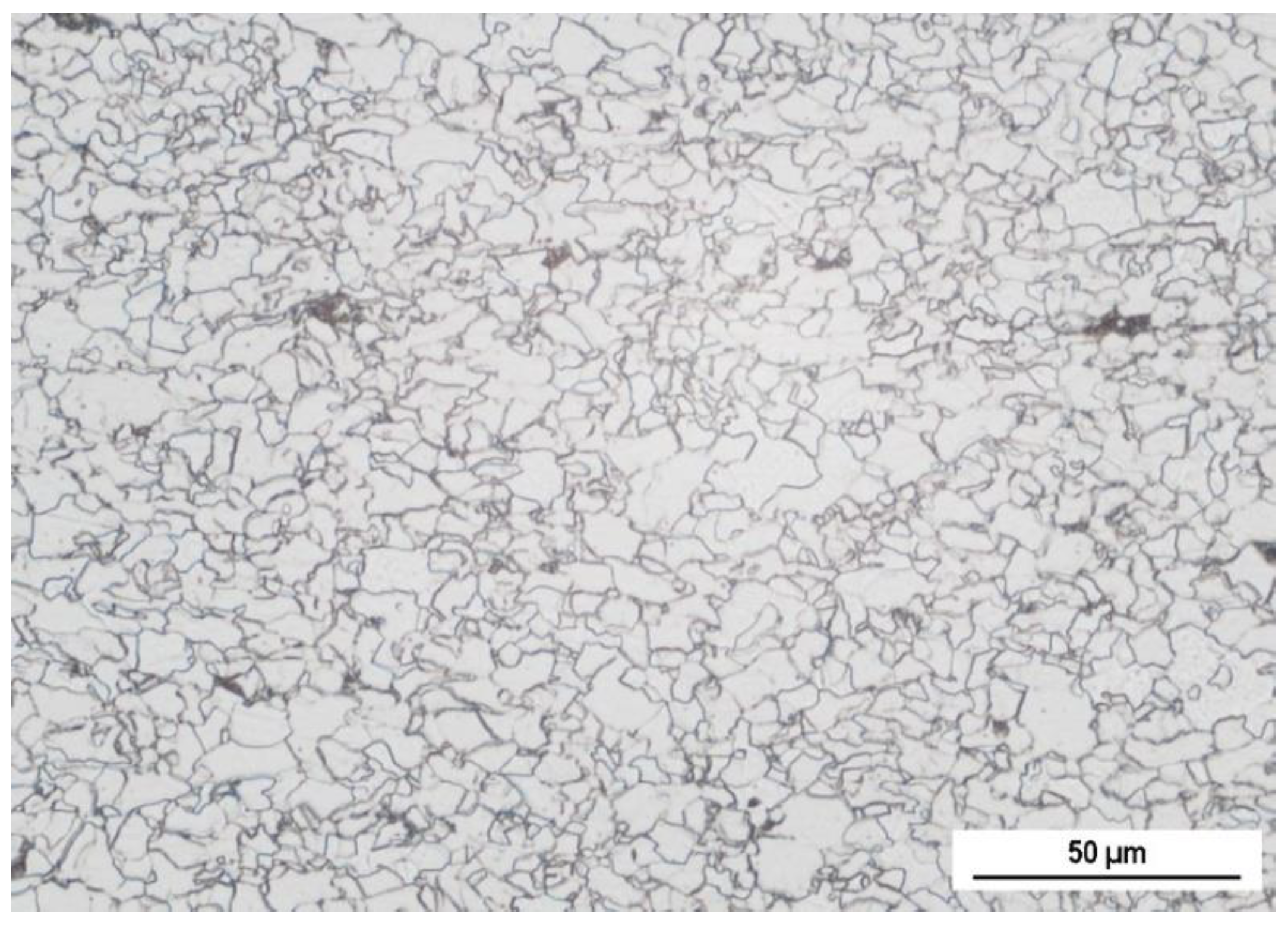 Coatings 11 00263 g001