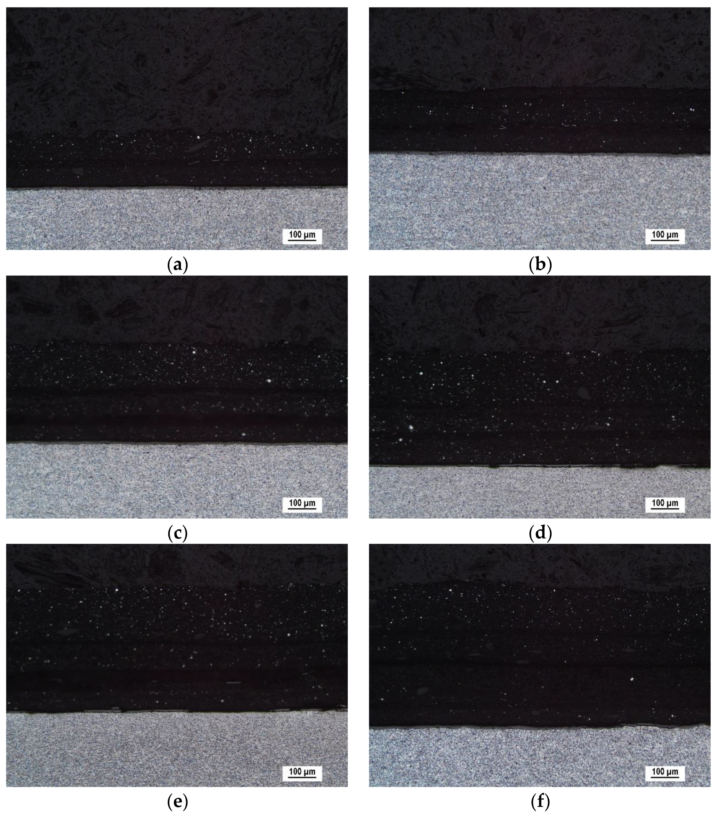 Coatings 11 00263 g003