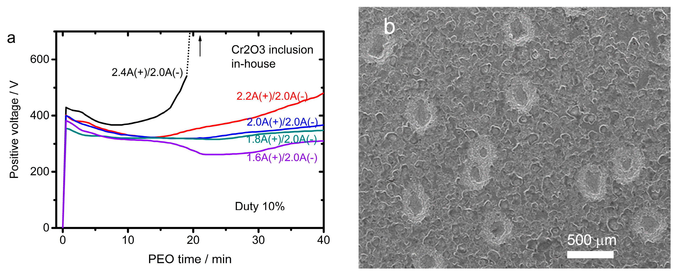 Coatings 11 00270 g004 Coatings 11 00270 g004