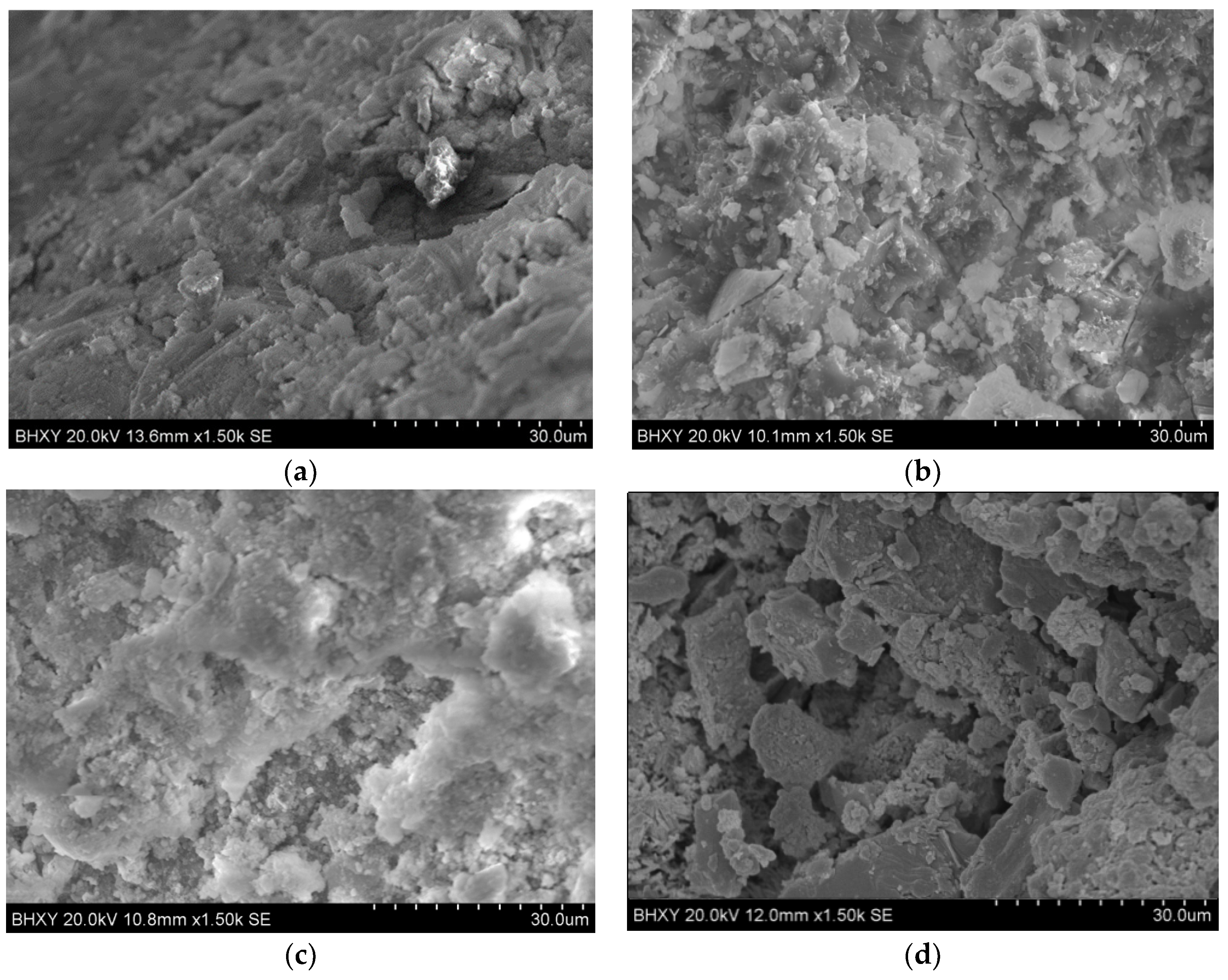 Coatings 11 00272 g005