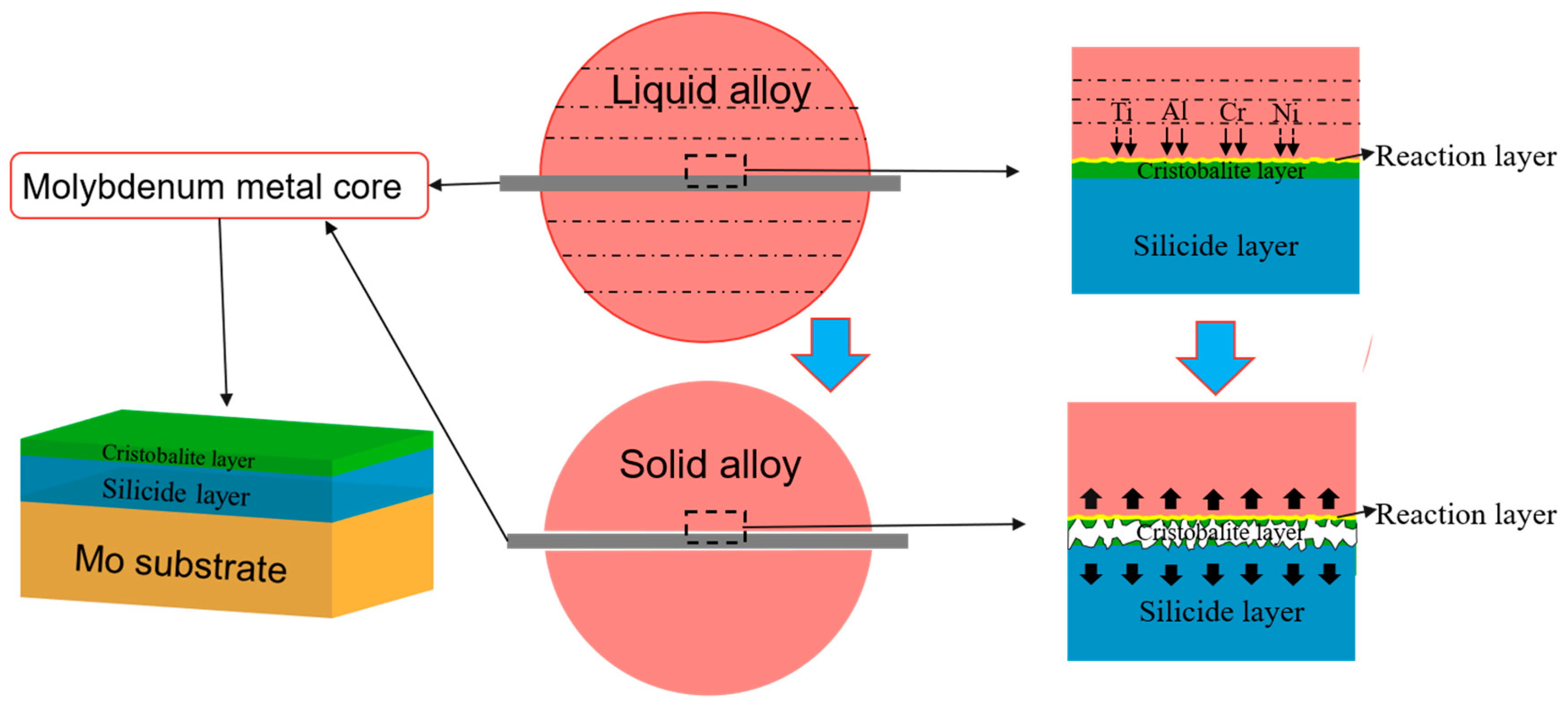 Coatings 11 00275 g006
