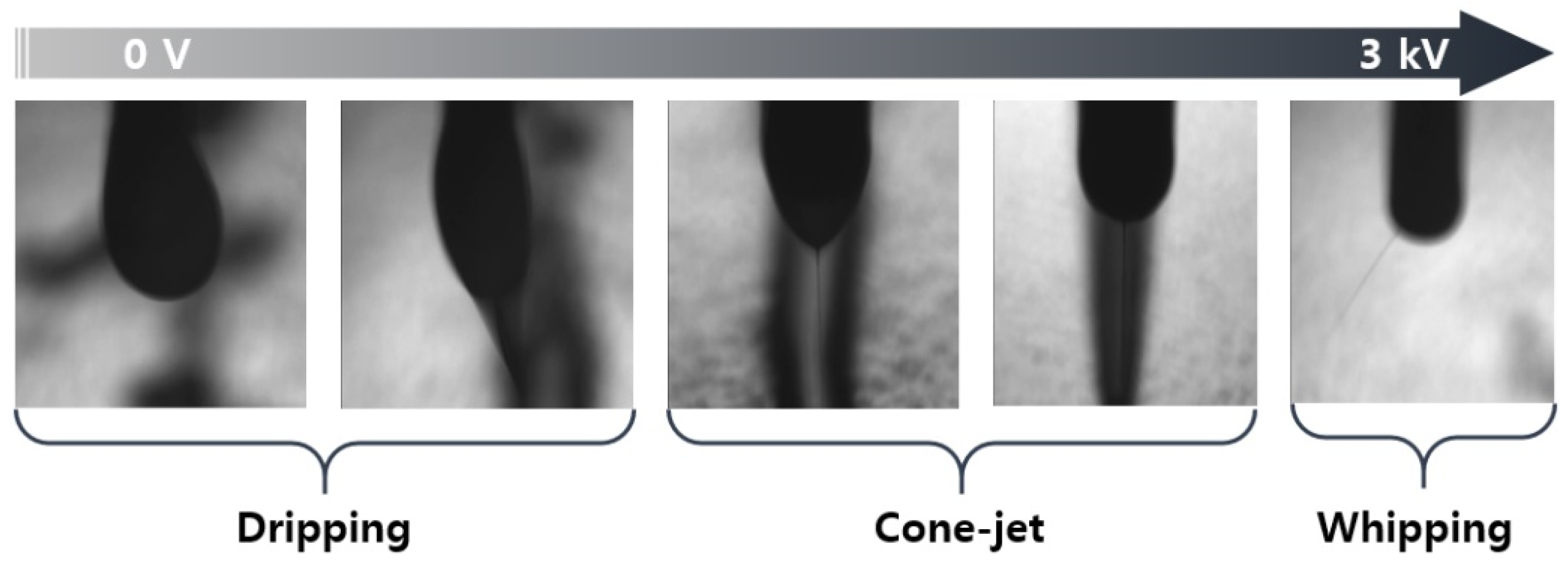 Coatings 11 00277 g005