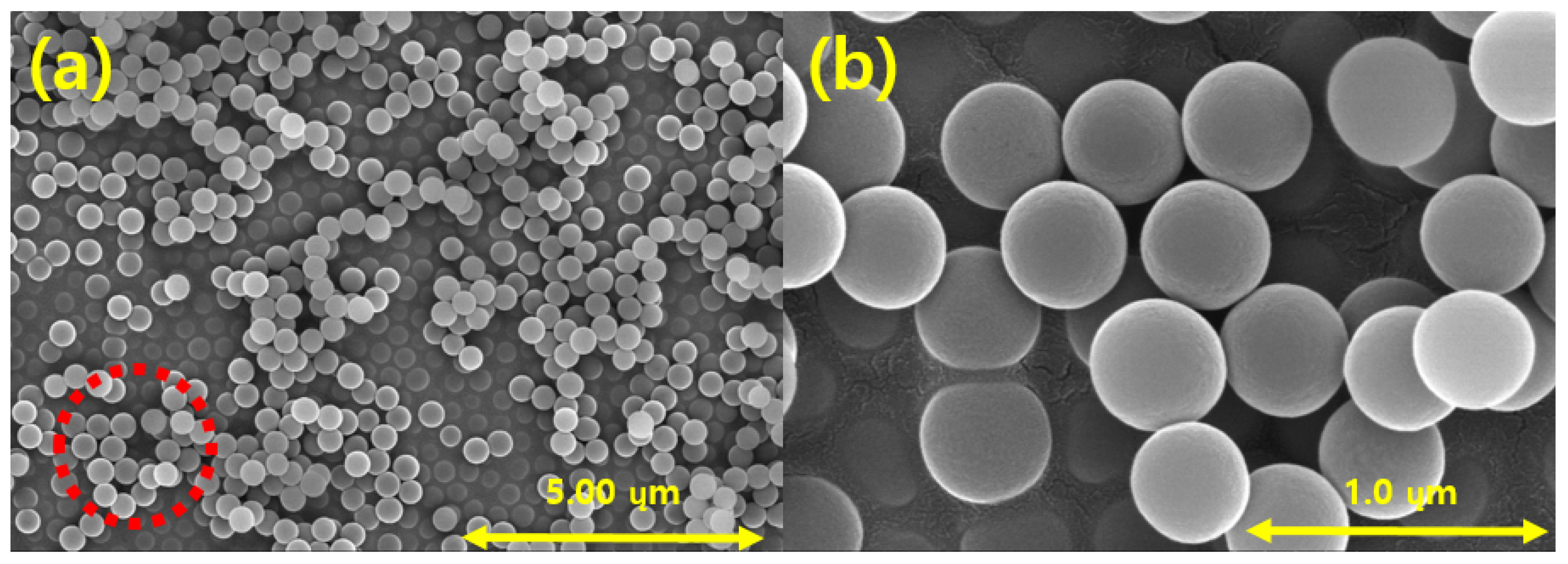 Coatings 11 00277 g010