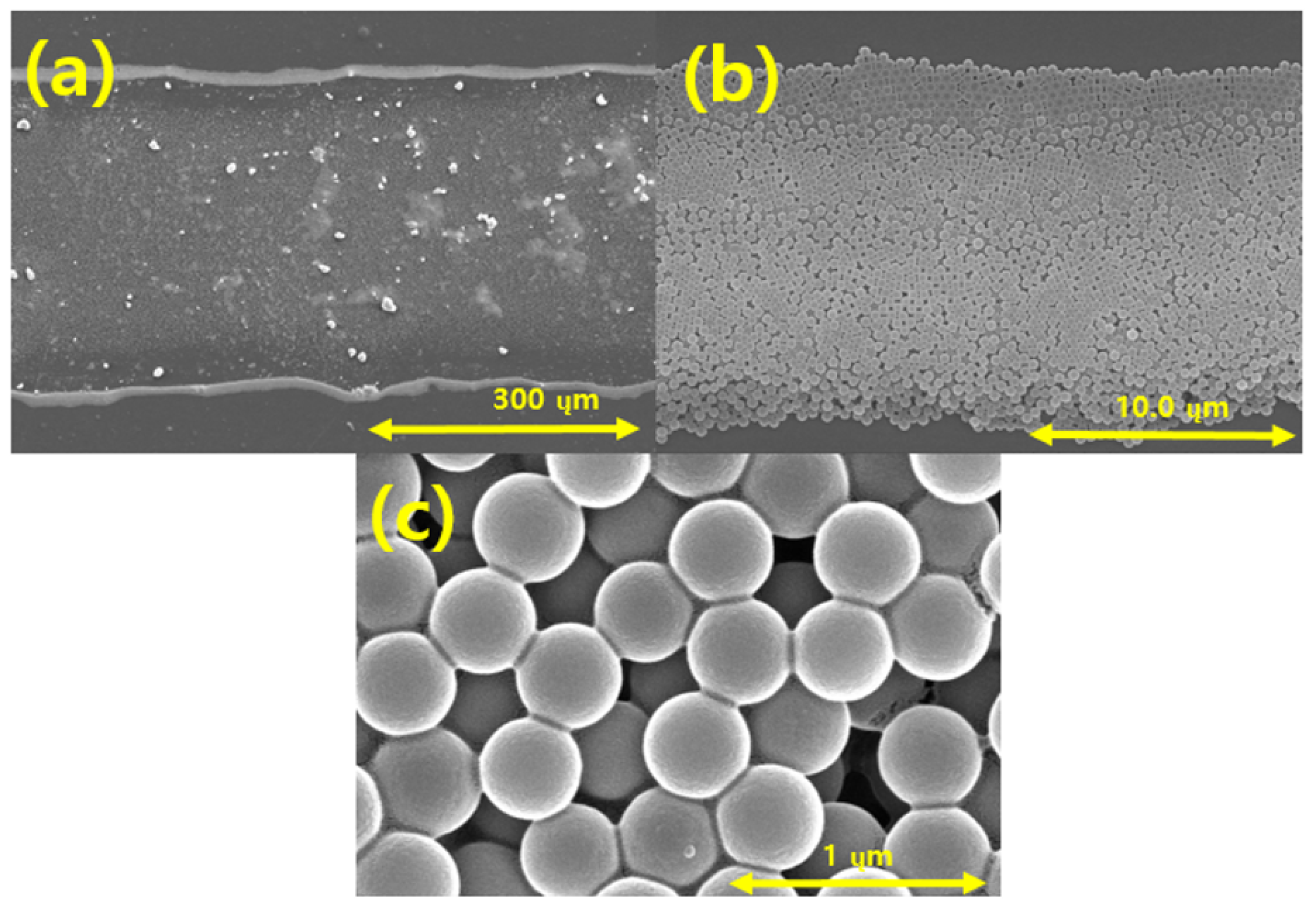 Coatings 11 00277 g012