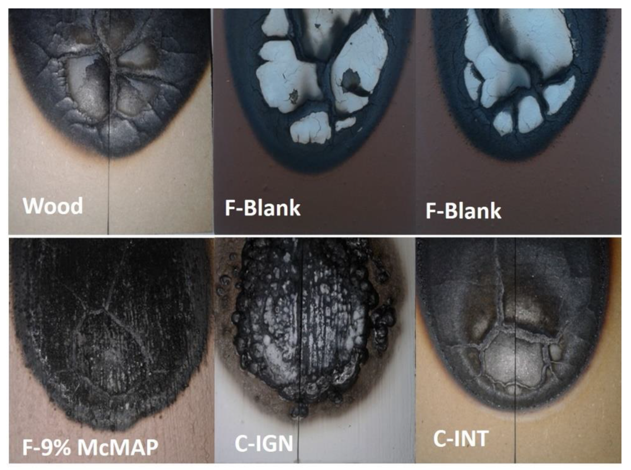 Coatings 11 00280 g006