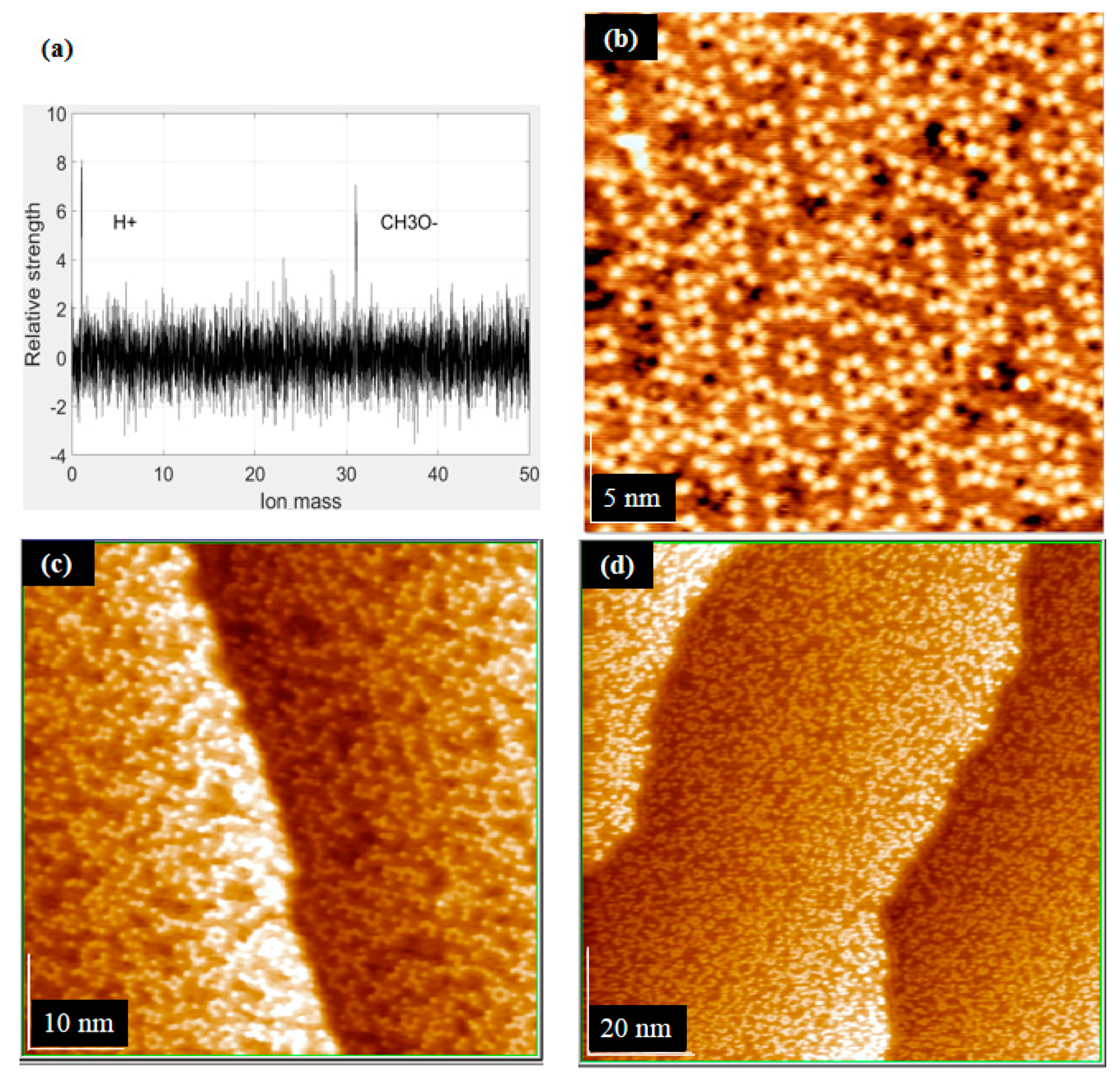 Coatings 11 00281 g007