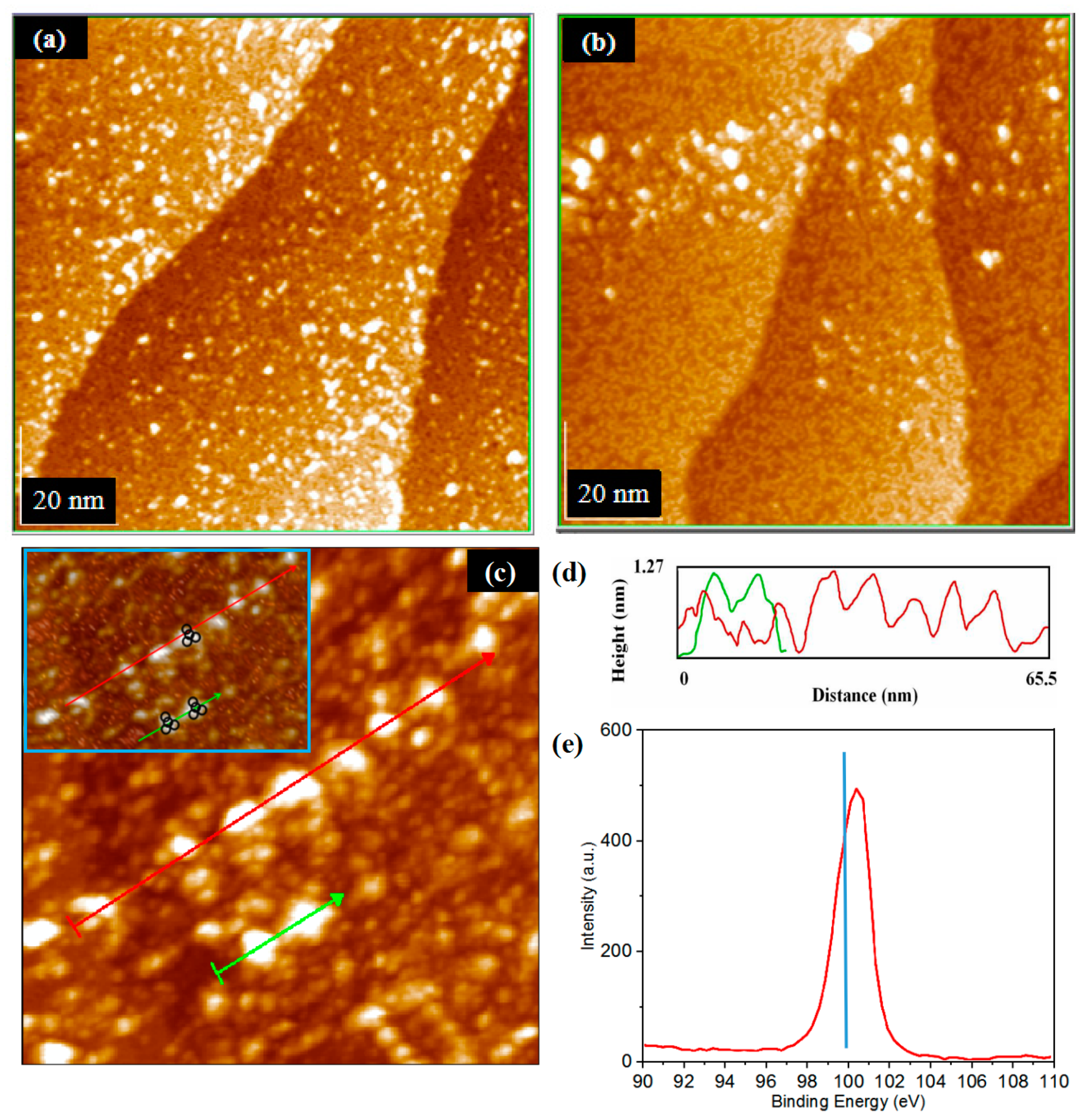 Coatings 11 00281 g008