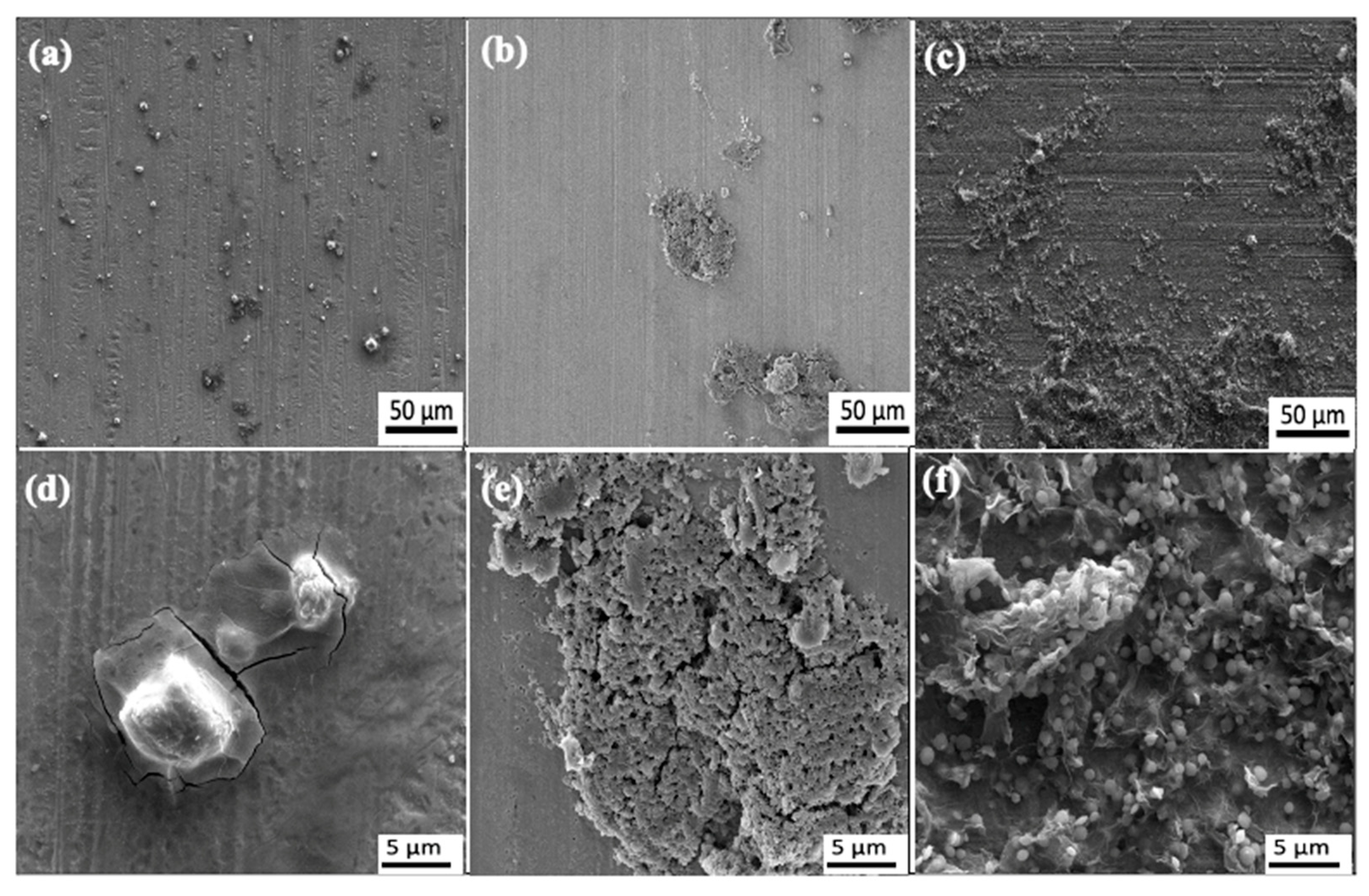 Coatings 11 00285 g002