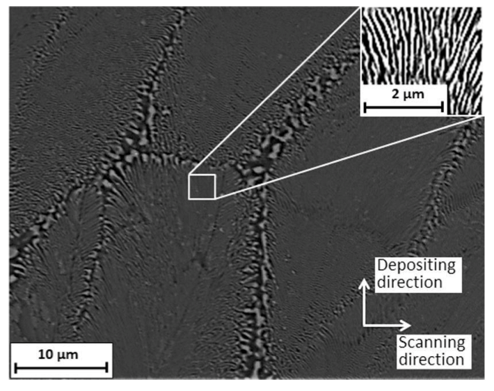 Coatings 11 00296 g007