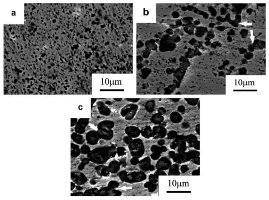 Coatings 11 00296 g011